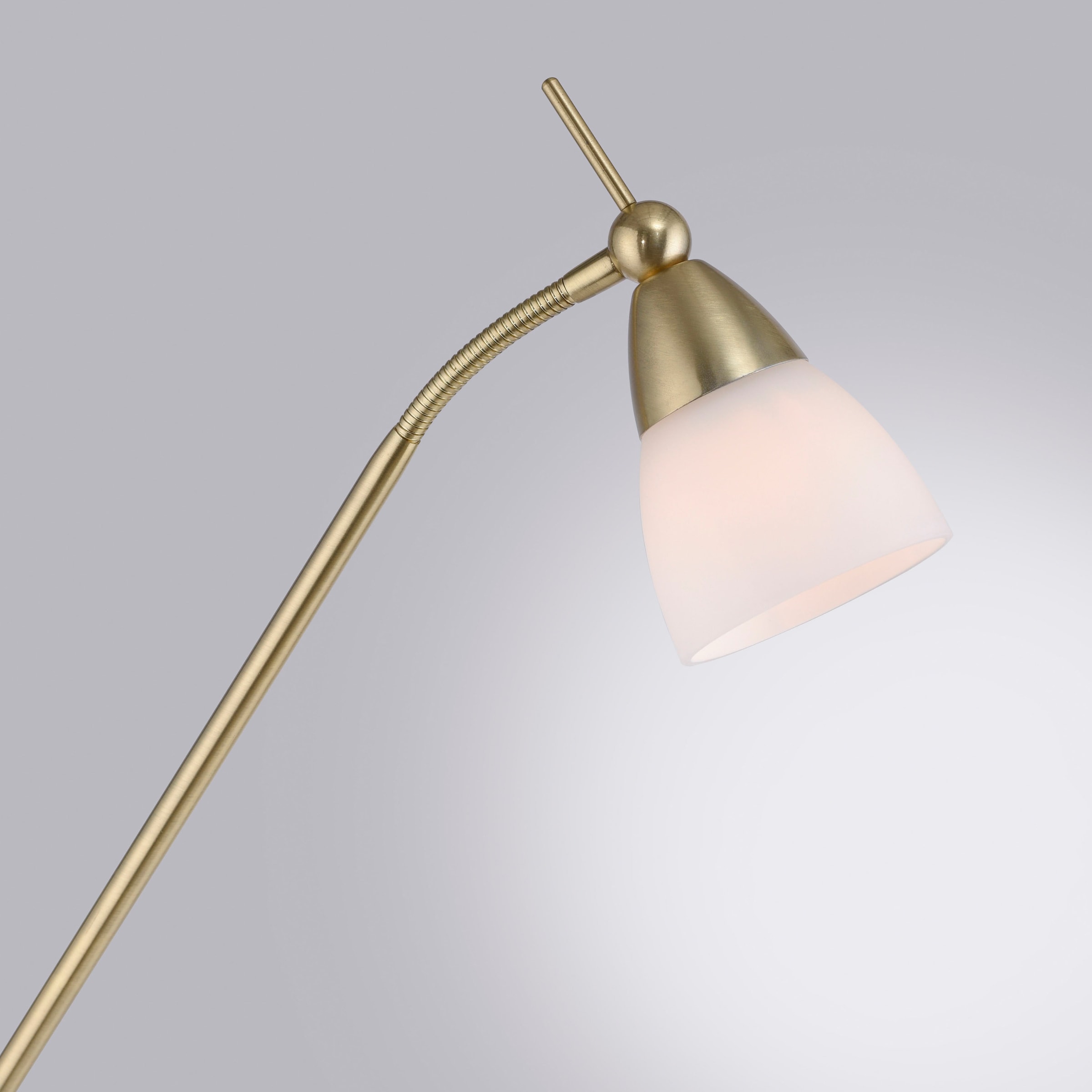 Paul Neuhaus Stehlampe »PINO« G9 1 Stk. Warmweiß