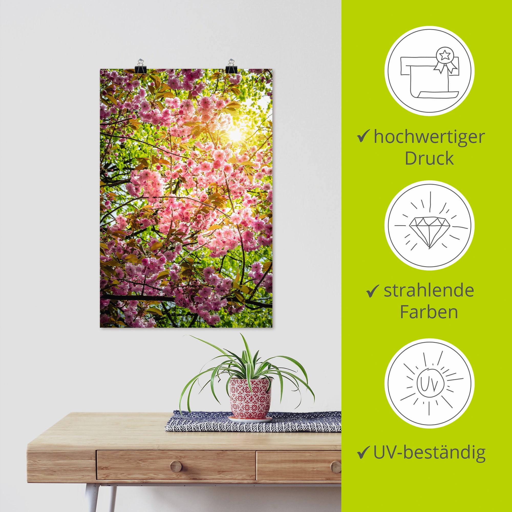 Artland Poster »Japanische Kirschblüte«, Vier Jahreszeiten, (1 St.), als Alubild, Leinwandbild, Wandaufkleber oder Poster in versch. Größen