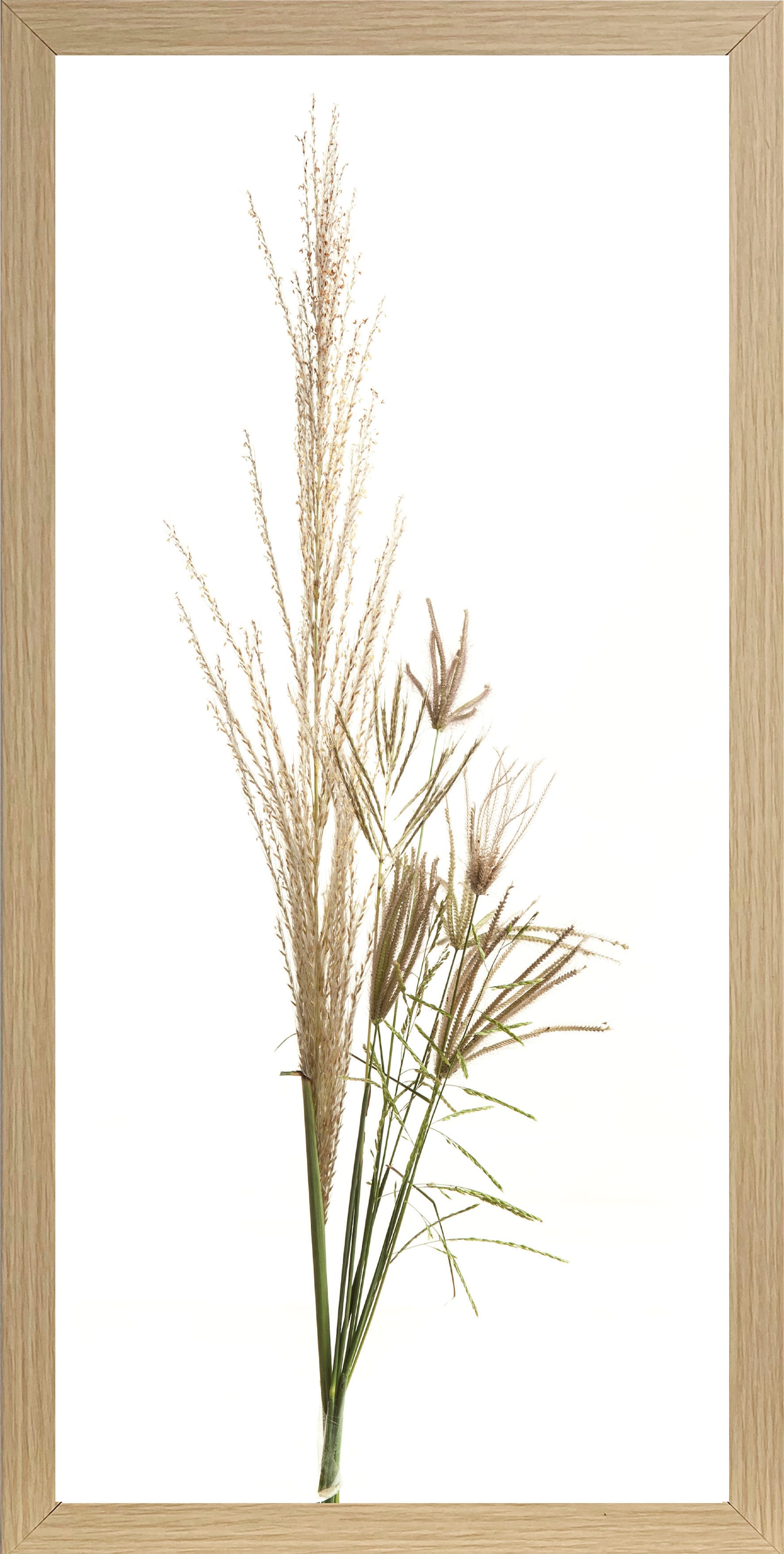 Bönninghoff Bild mit Rahmen »Gräser« Gräser 1 Stk. tlg. BxH: 23x49 cm