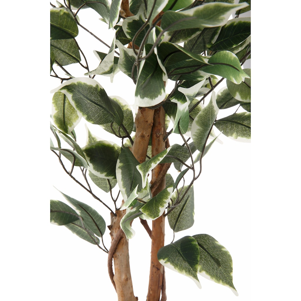 Creativ green Kunstpflanze »Ficus Benjamini«