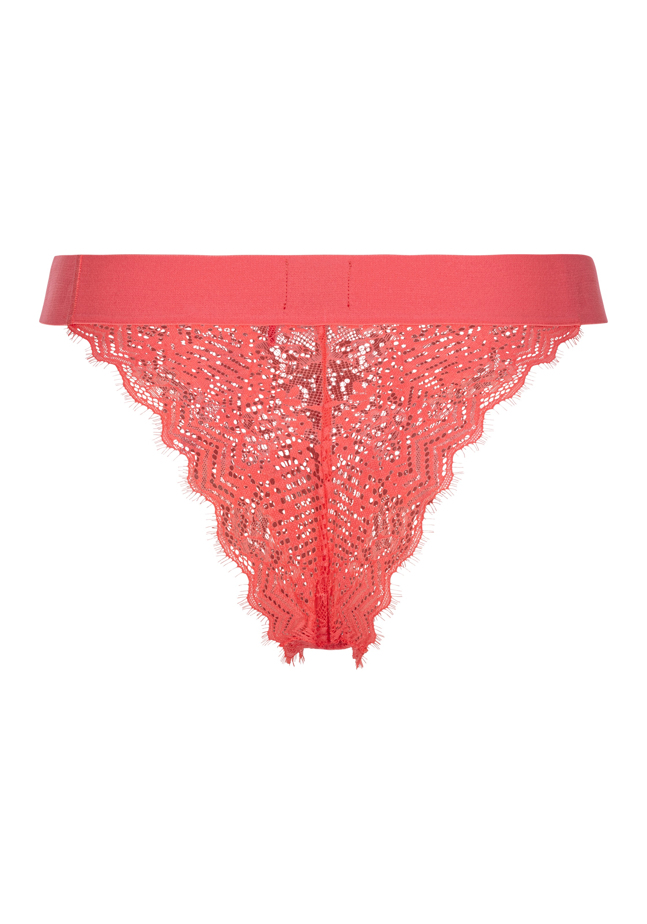 HUGO Underwear Slip »BRIEF RL LACE«, mit Logoschriftzug auf dem Bund