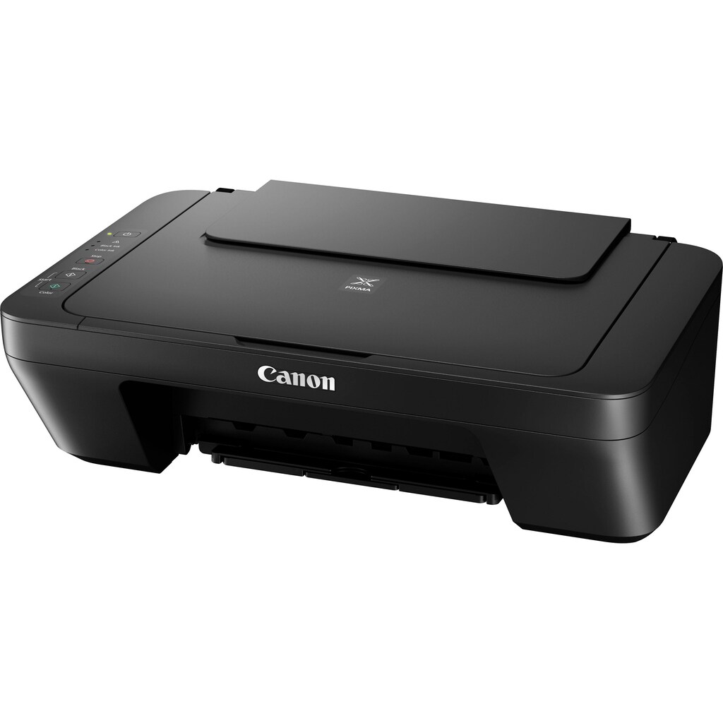 Canon Multifunktionsdrucker »PIXMA MG2555S«