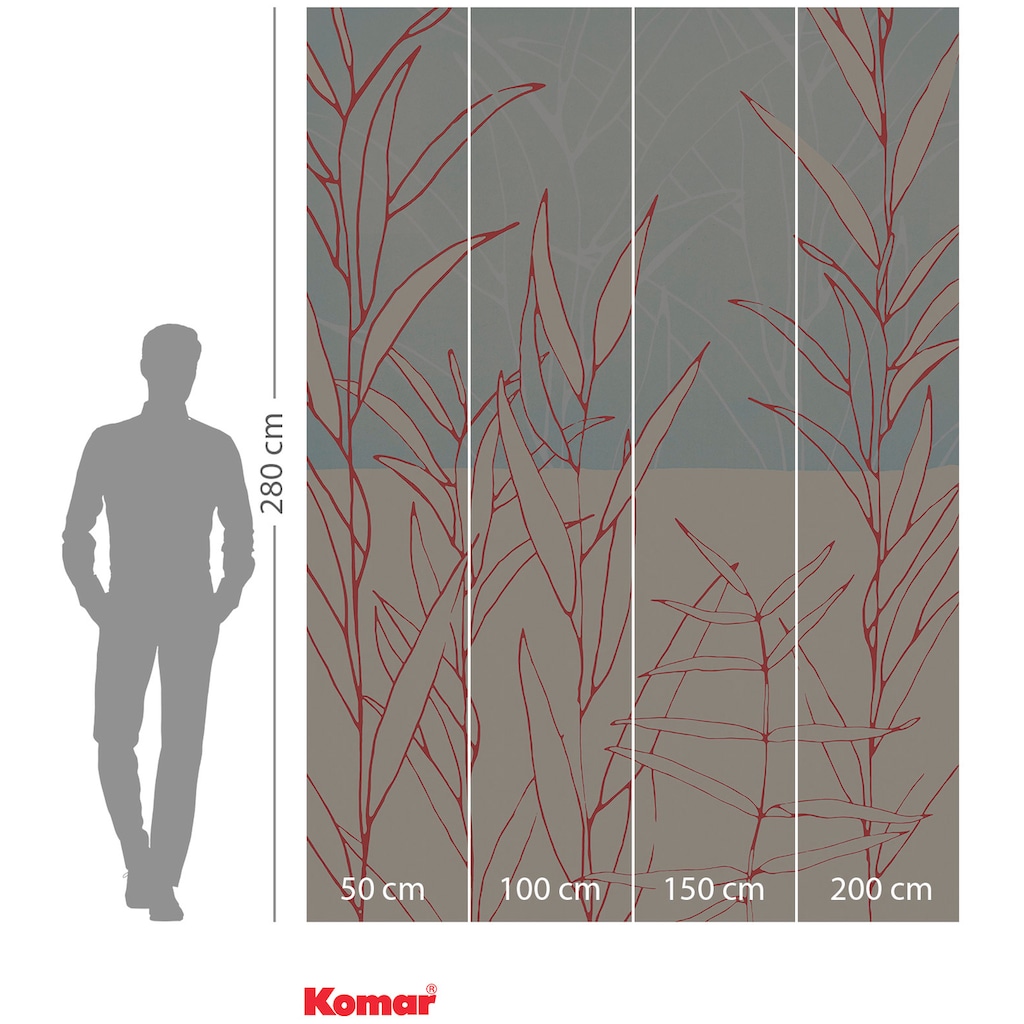 Komar Vliestapete »Plain«, 200x280 cm (Breite x Höhe)