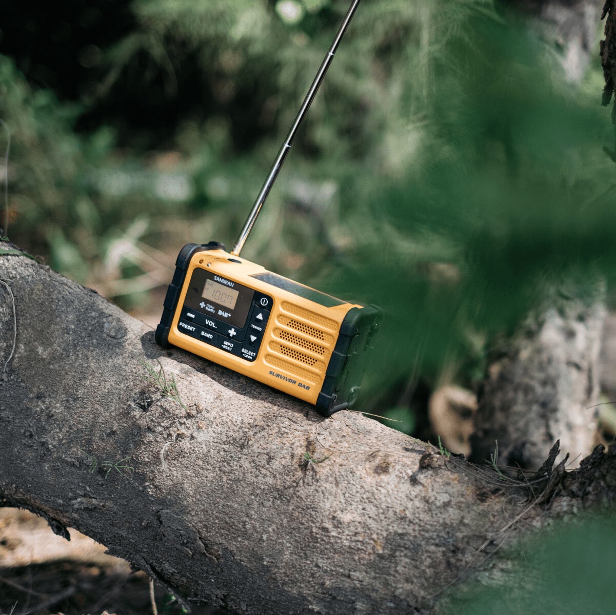 Sangean Notfallradio »MMR-88DAB«, (FM-Tuner mit RDS-Digitalradio (DAB+)