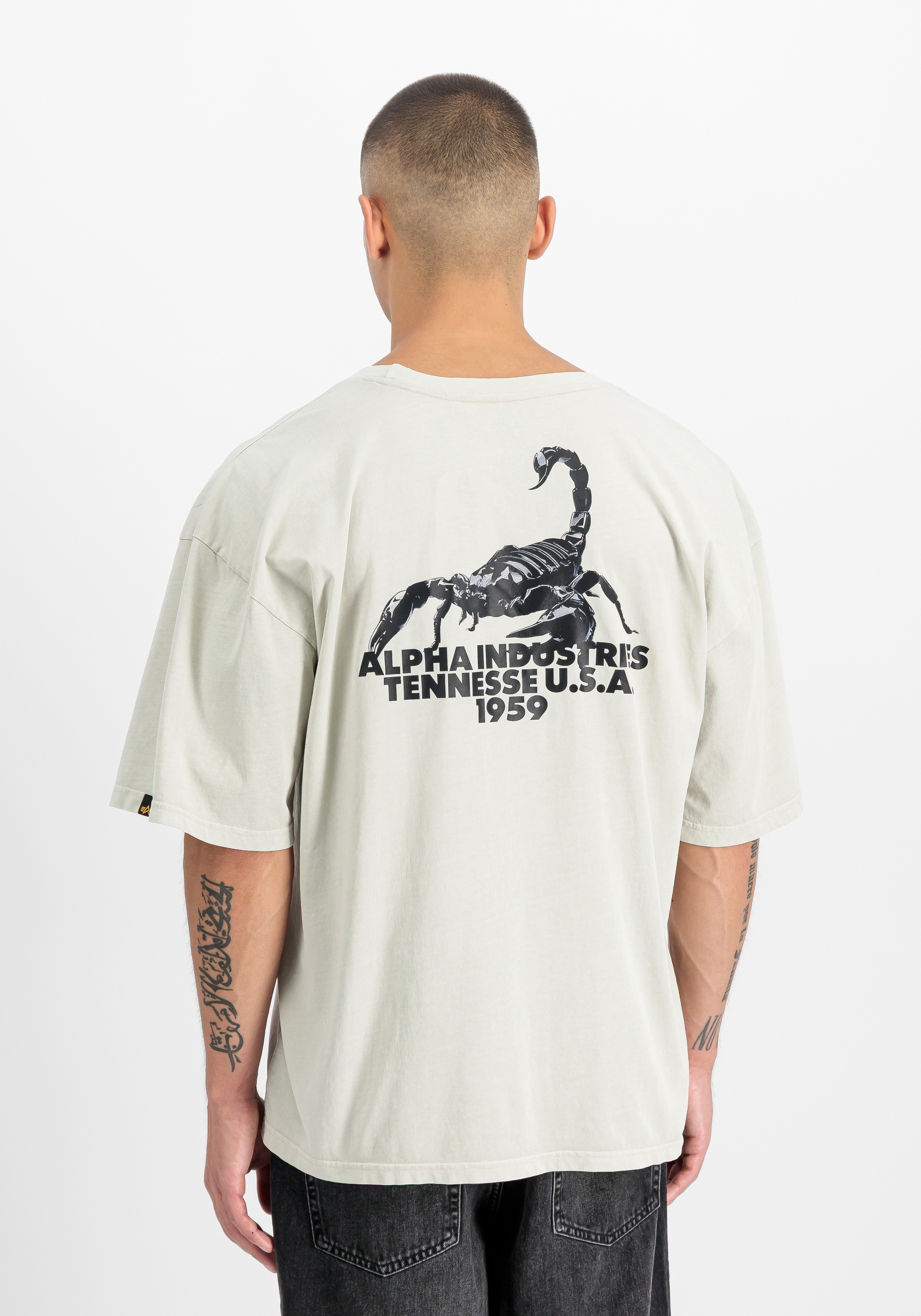 Alpha Industries T-Shirt »US Scorpion Backprint T-Shirt«