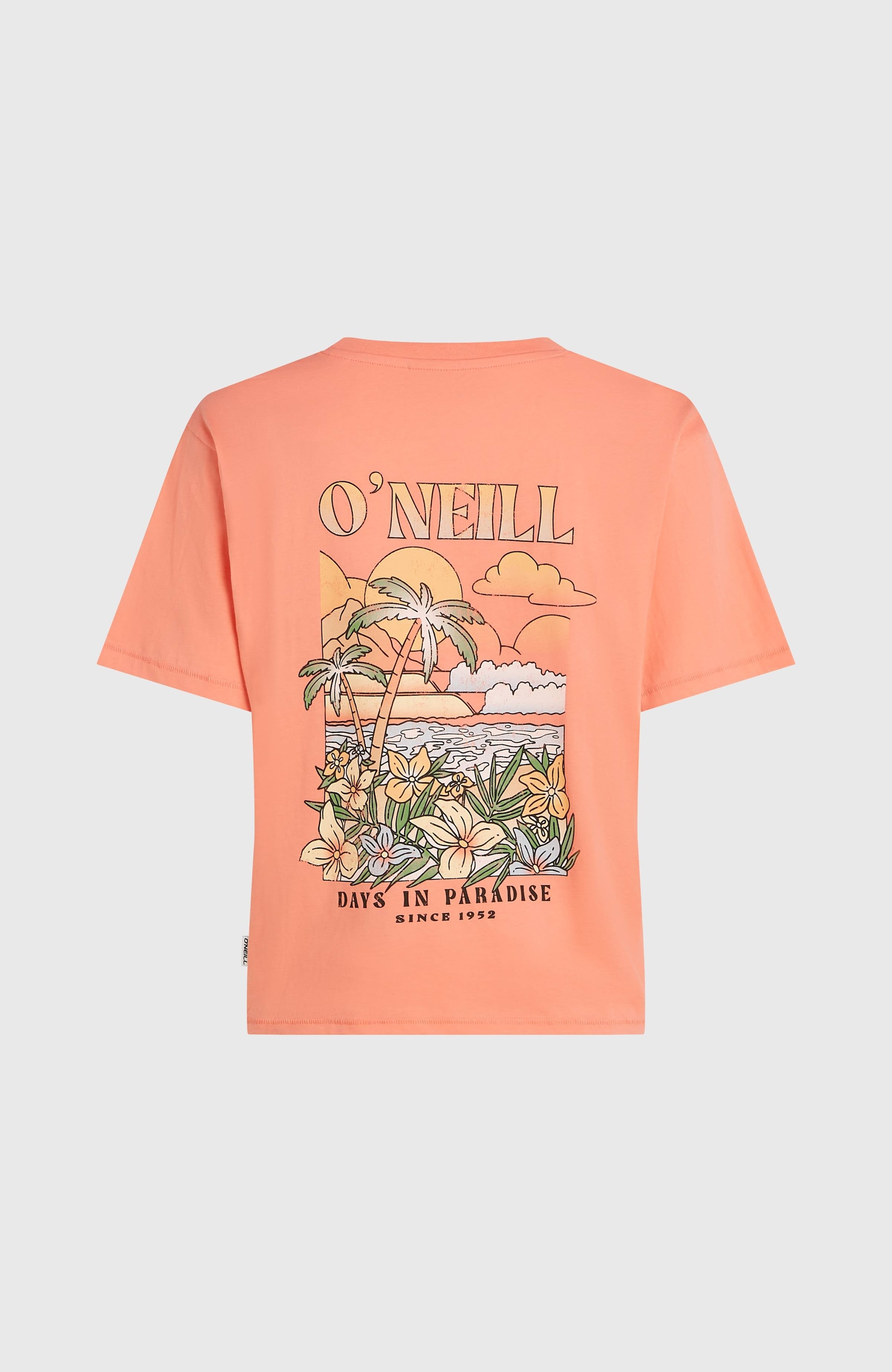 O'Neill T-Shirt »O'NEILL BOXY BACK PRINT T-SHIRT« sportliche Passform, lockerer Schnitt, aus Baumwolle