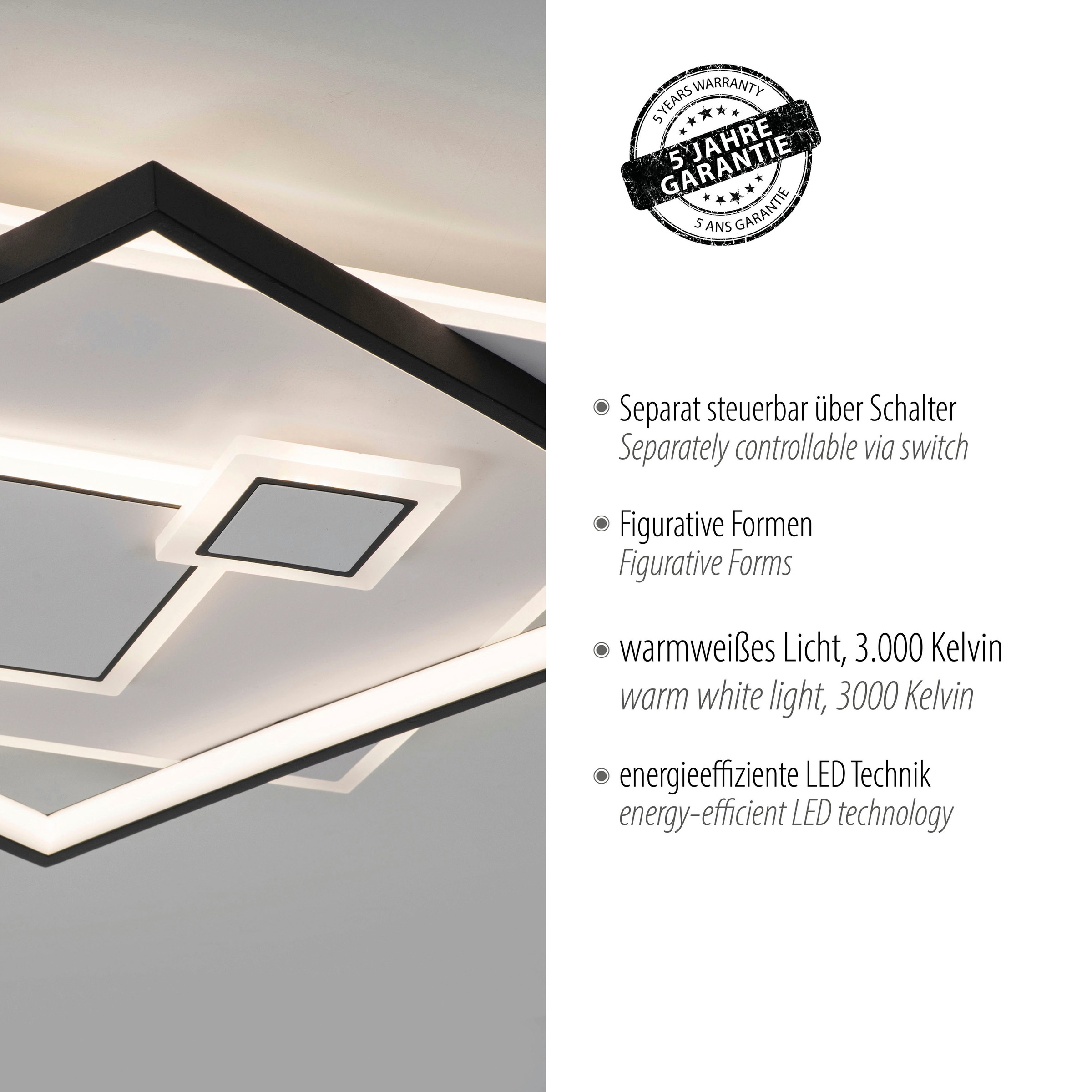 Paul Neuhaus Deckenleuchte »MAILAK«, 2 flammig, Leuchtmittel LED-Board-LED-Board | LED fest integriert-LED fest integriert, LED, separat steuerbar (Schalter)