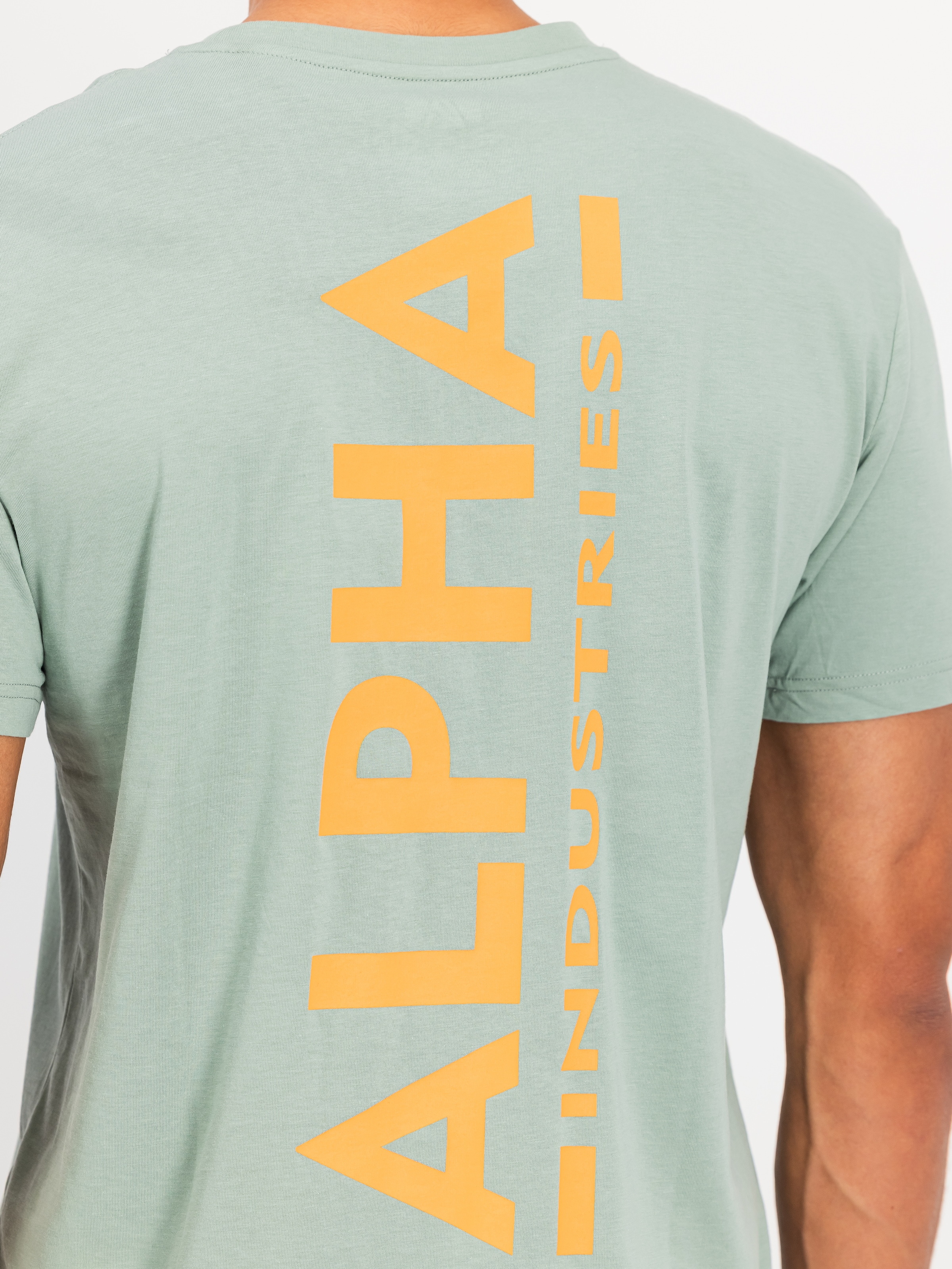 Alpha Industries Rundhalsshirt »Backprint T« Baumwolle, regular fit