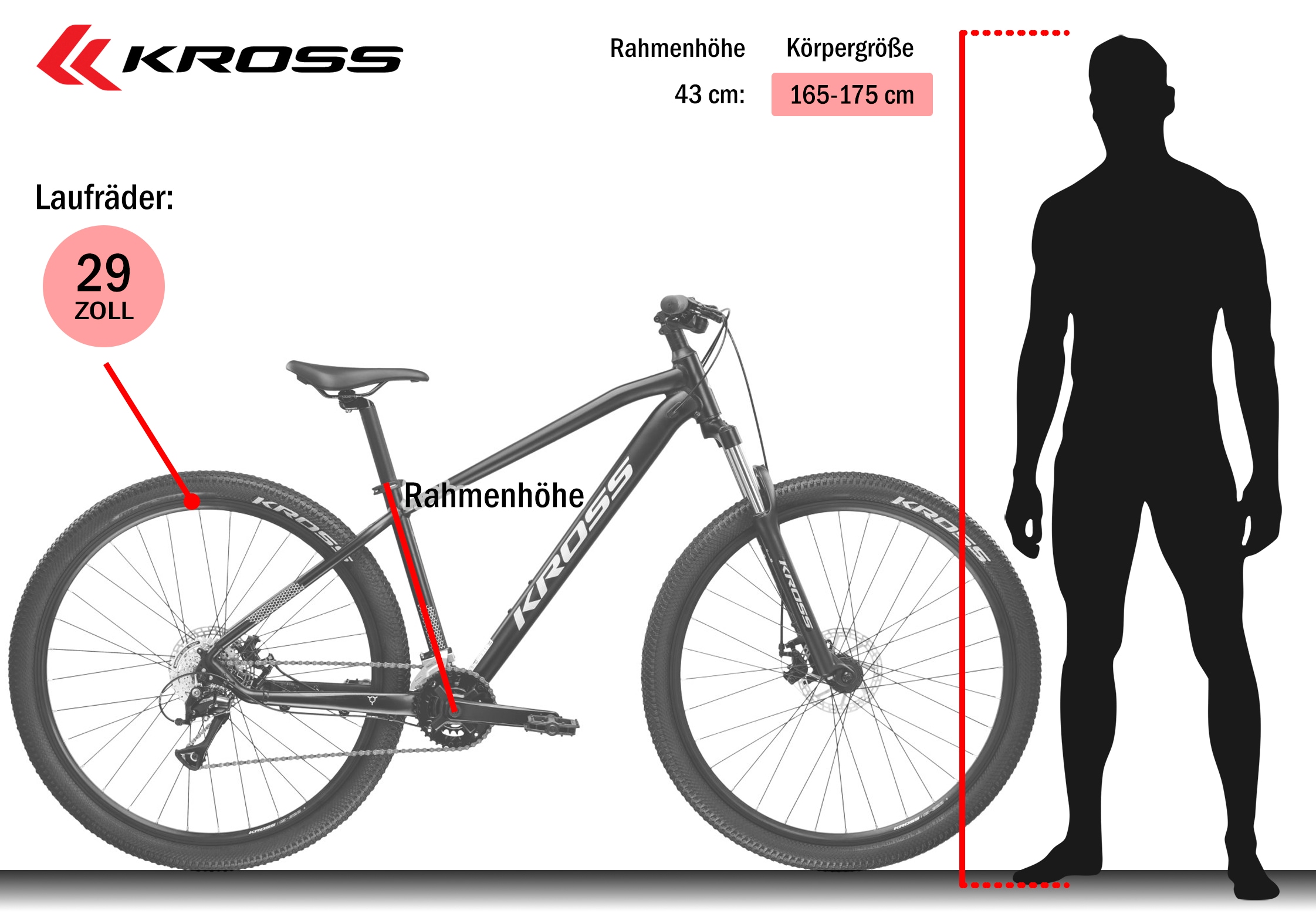 Kross Mountainbike »KROSS MTB Hardtail Hexagon 2.0 29" grün 21 Gänge« 21 Gang Shimano ALTUS M310 Schaltwerk Kettenschaltung