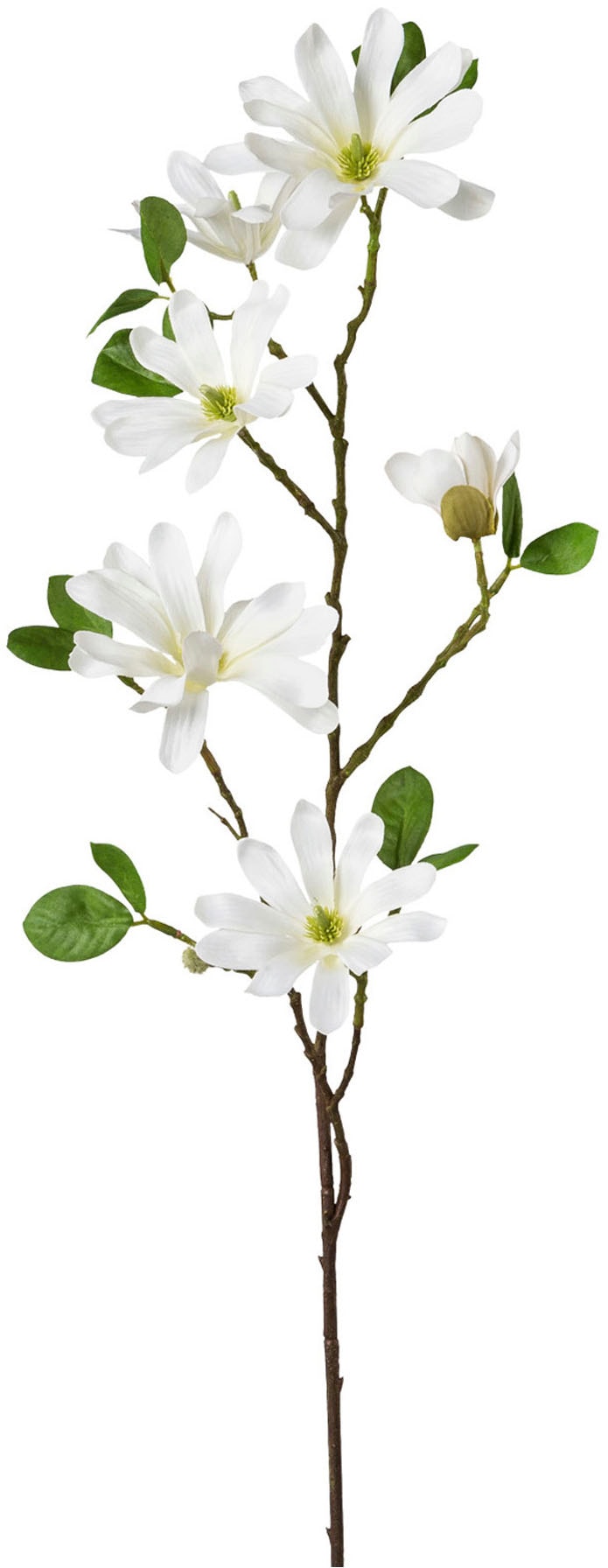Creativ green Kunstblume »Sternmagnolie« mit großen Blüten