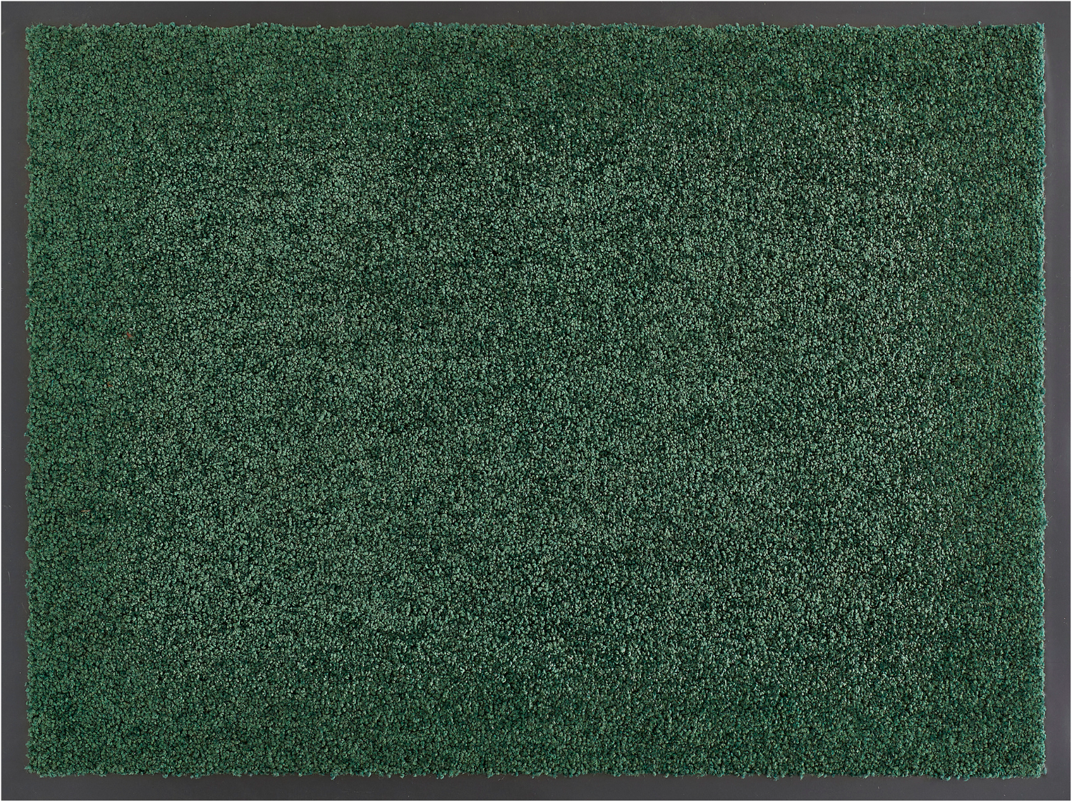my home Fußmatte »Emil, Made in Netherlands«, rechteckig, 6 mm Höhe, Schmutzfangmatte, Uni Farben, rutschhemmend, waschbar (Handwäsche)