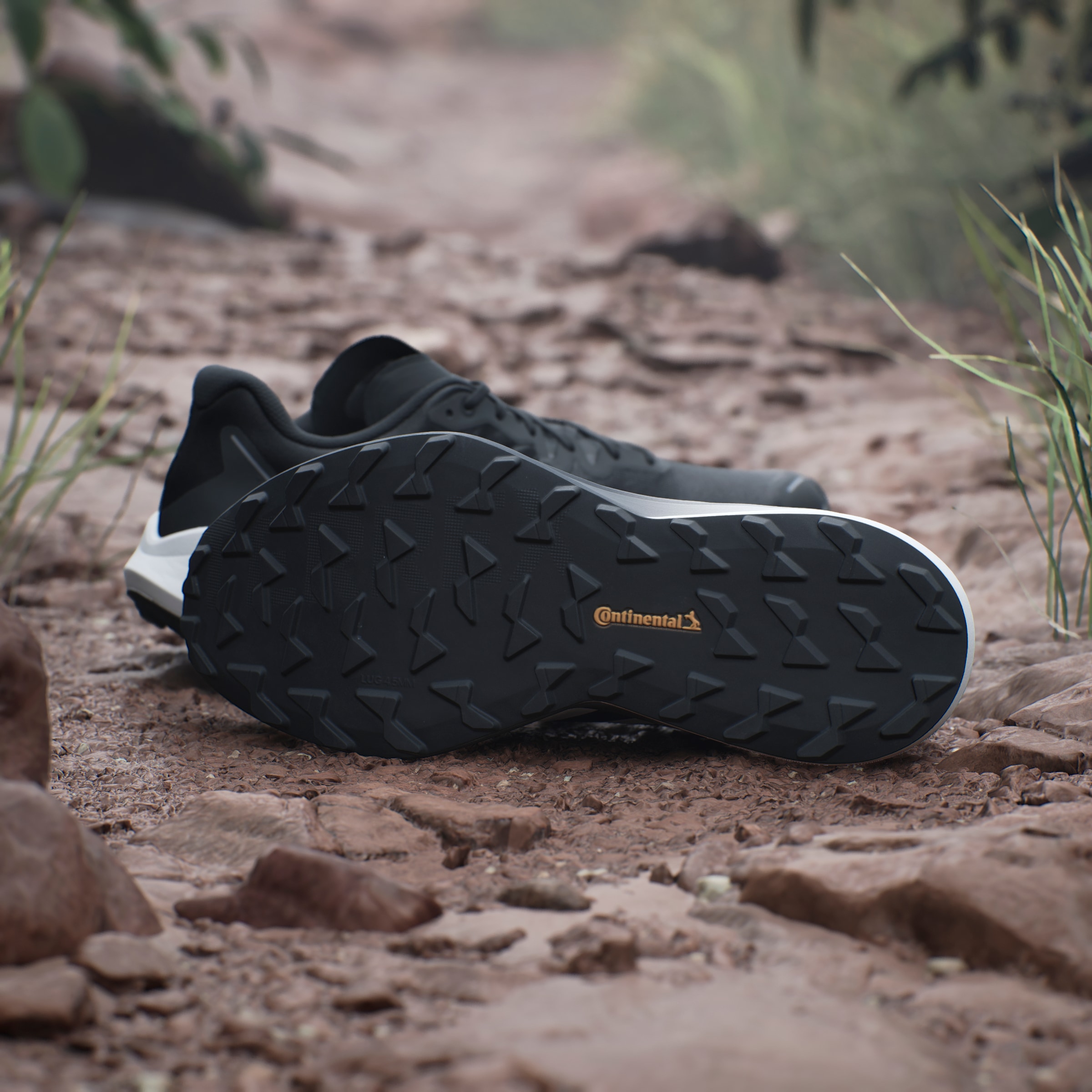 adidas TERREX Trailrunningschuh »TERREX AGRAVIC 3 TRAILRUNNING«