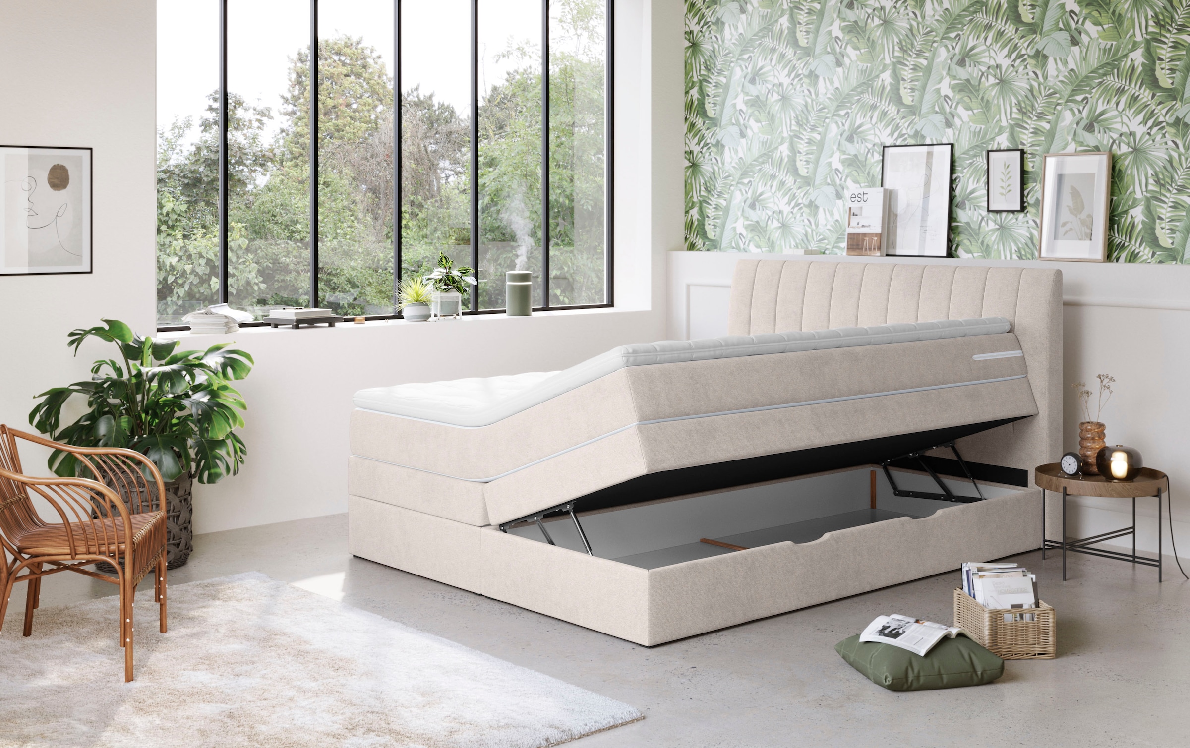 COTTA Boxspringbett »Shark inkl. Bettkasten und Topper«, erhältlich in den Breiten 140x200cm, 160x200cm und 180x200cm
