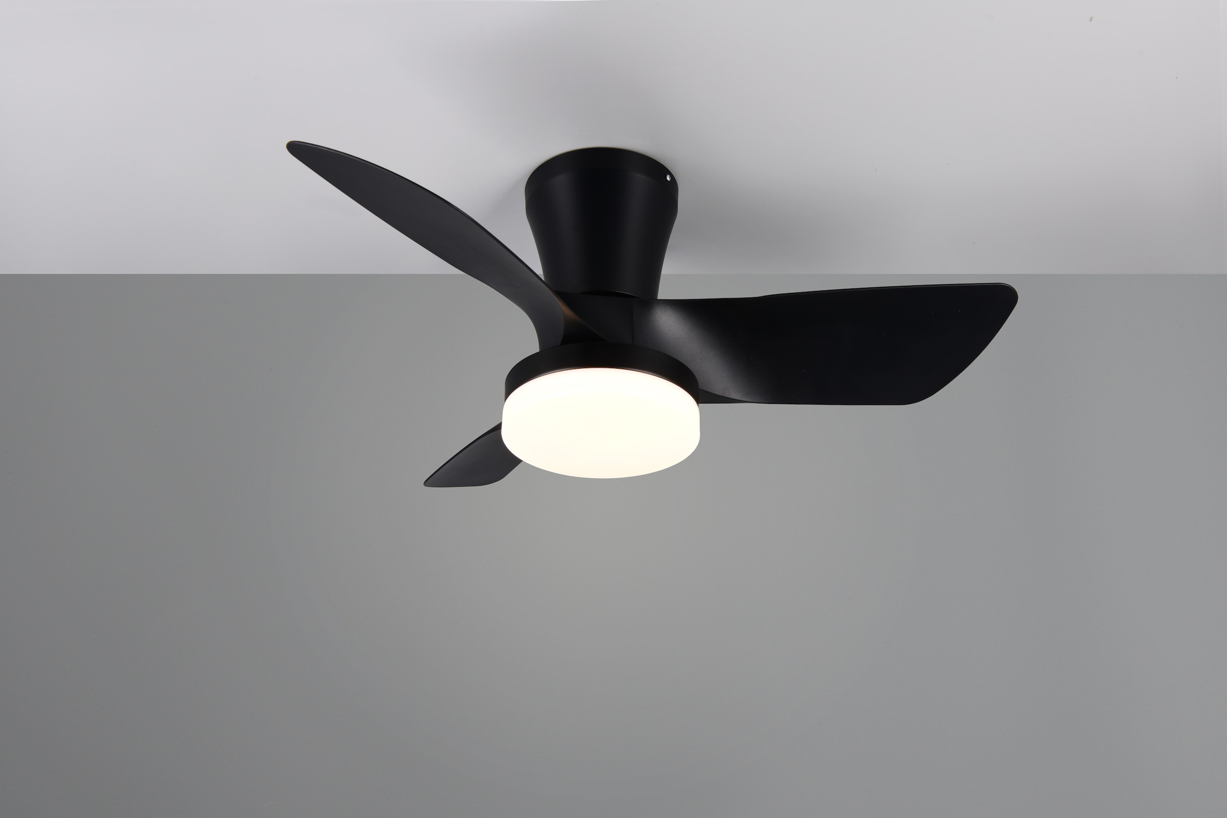 REALITY Leuchten LED Deckenleuchte »RANDERS mit Ventilator, Deckenventilator mit Licht inkl Fernbedienung« LED-Board 1 Stk. warmweiß - kaltweiß 6 Geschwindigkeiten Timer Vor- & Rücklauf LED dimmbar CCT Nachtlicht