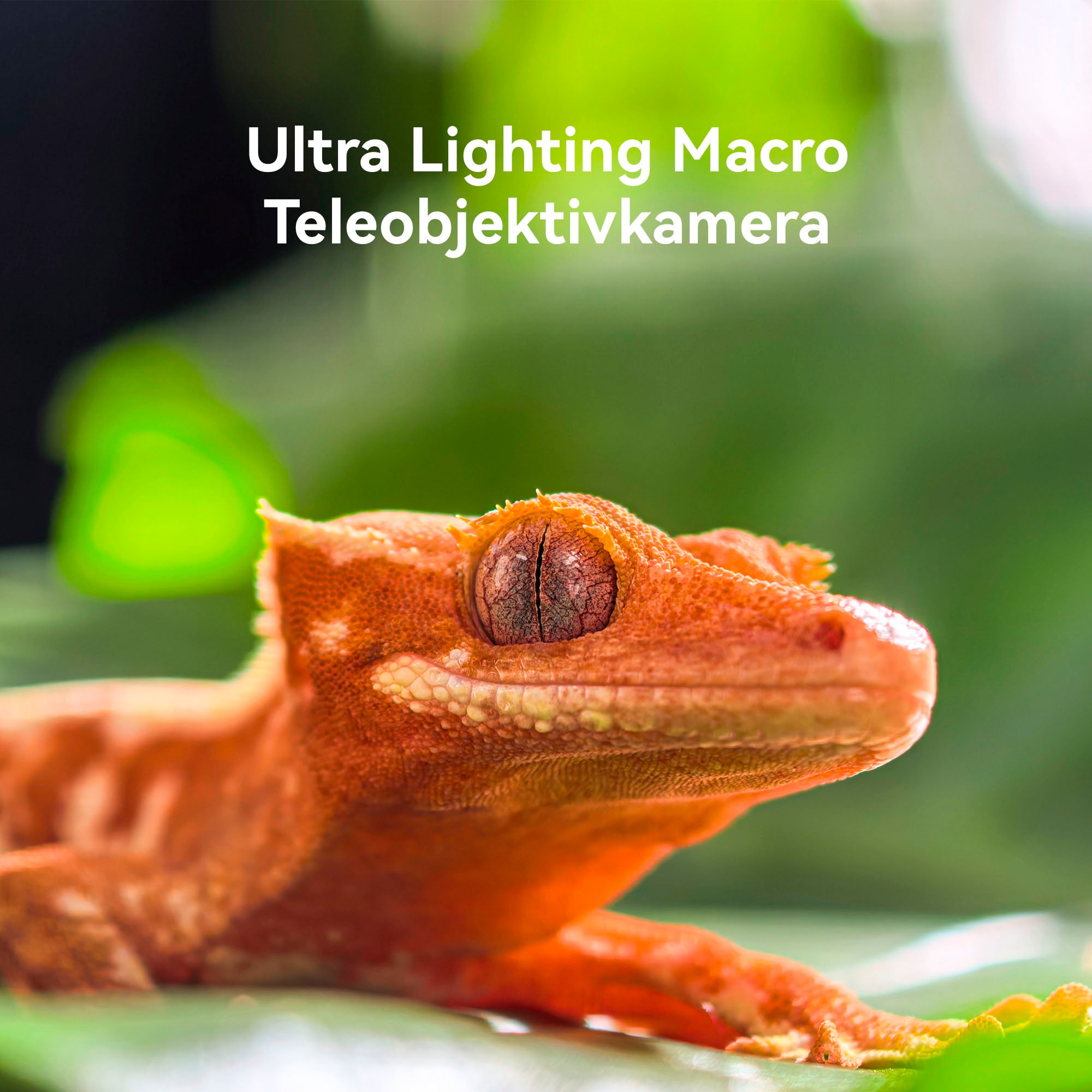 Huawei Smartphone »Pura 80 Pro« Rot