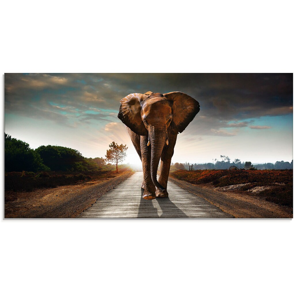 Artland Glasbild »Ein Elefant läuft auf der Straße«, Wildtiere, (1 St.)