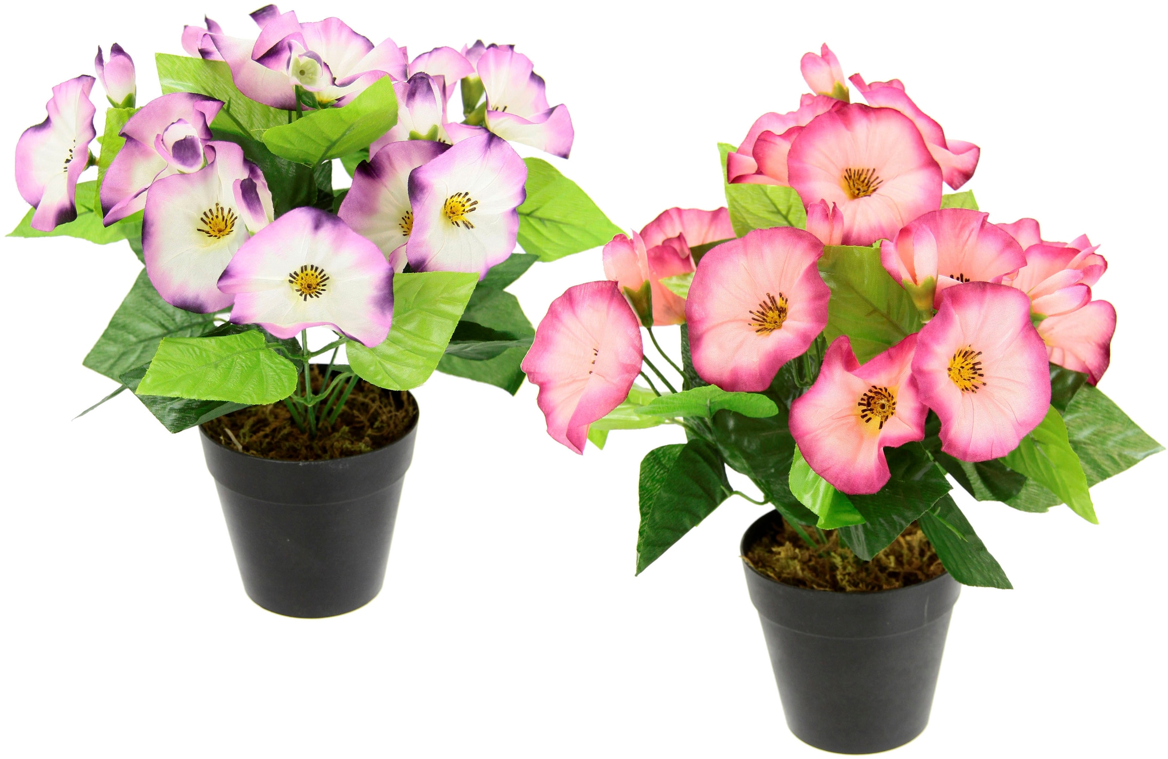 I.GE.A. Kunstblume klein Im Deko Zierpflanze Topf, Glockenblume »Petunien«, Blumen 2er kaufen auf Petunien Set Raten