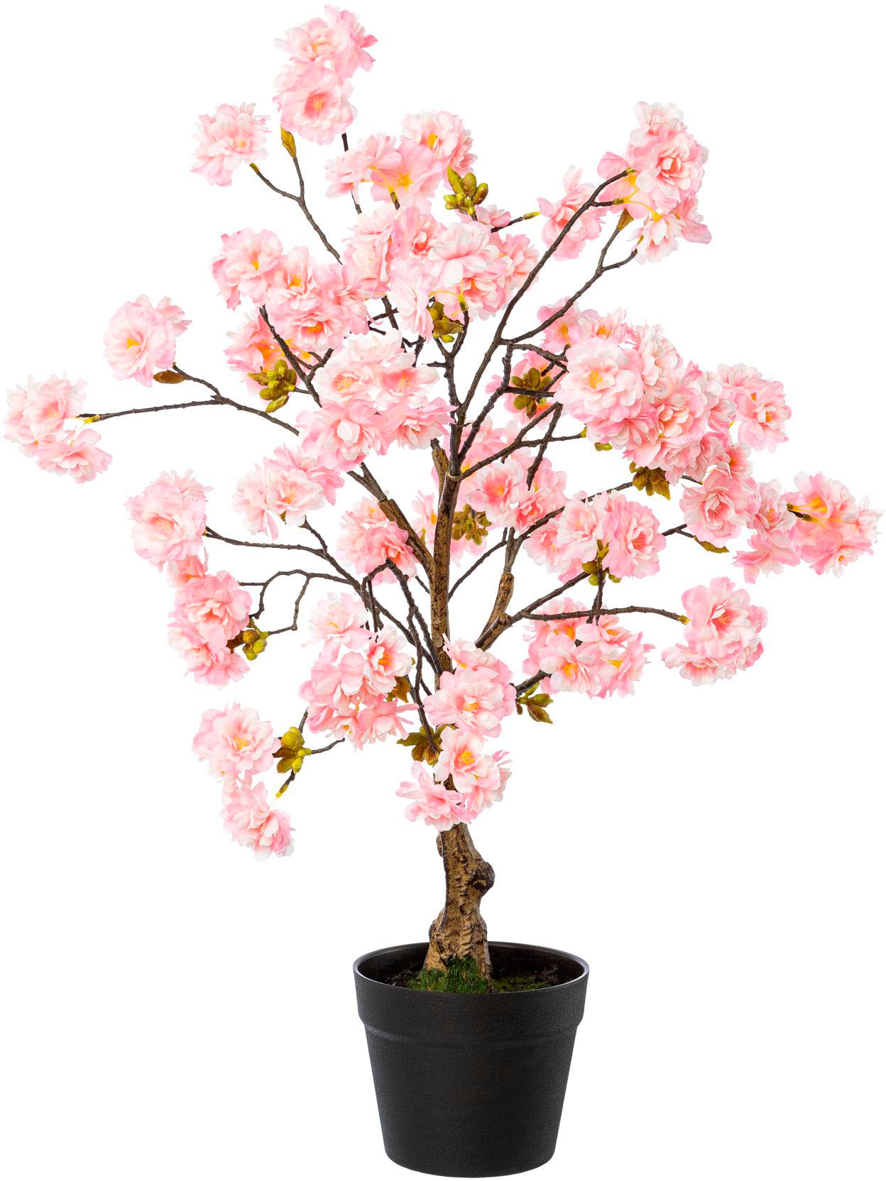 im Topf« Creativ green Raten bestellen Kunstblume auf »Kirschblütenbaum