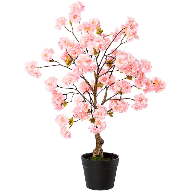 »Kirschblütenbaum auf Raten green Kunstblume Creativ Topf« im bestellen