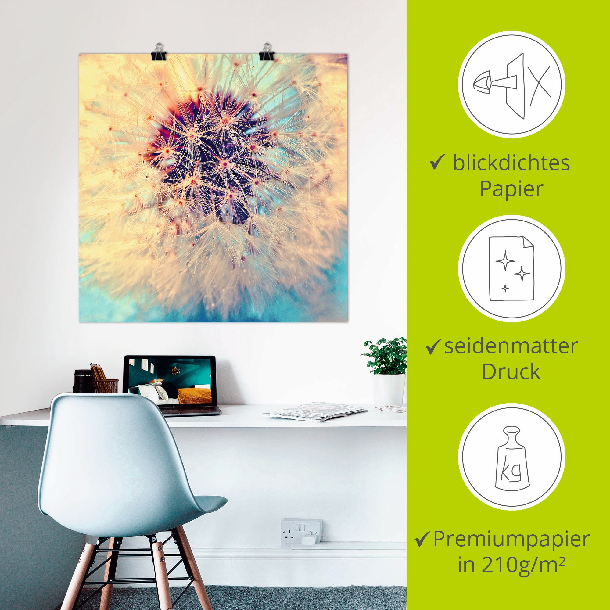 Artland Wandbild »Pusteblume ganz nah«, Blumen, (1 St.), als Alubild, Outdoorbild, Leinwandbild, Poster in verschied. Größen