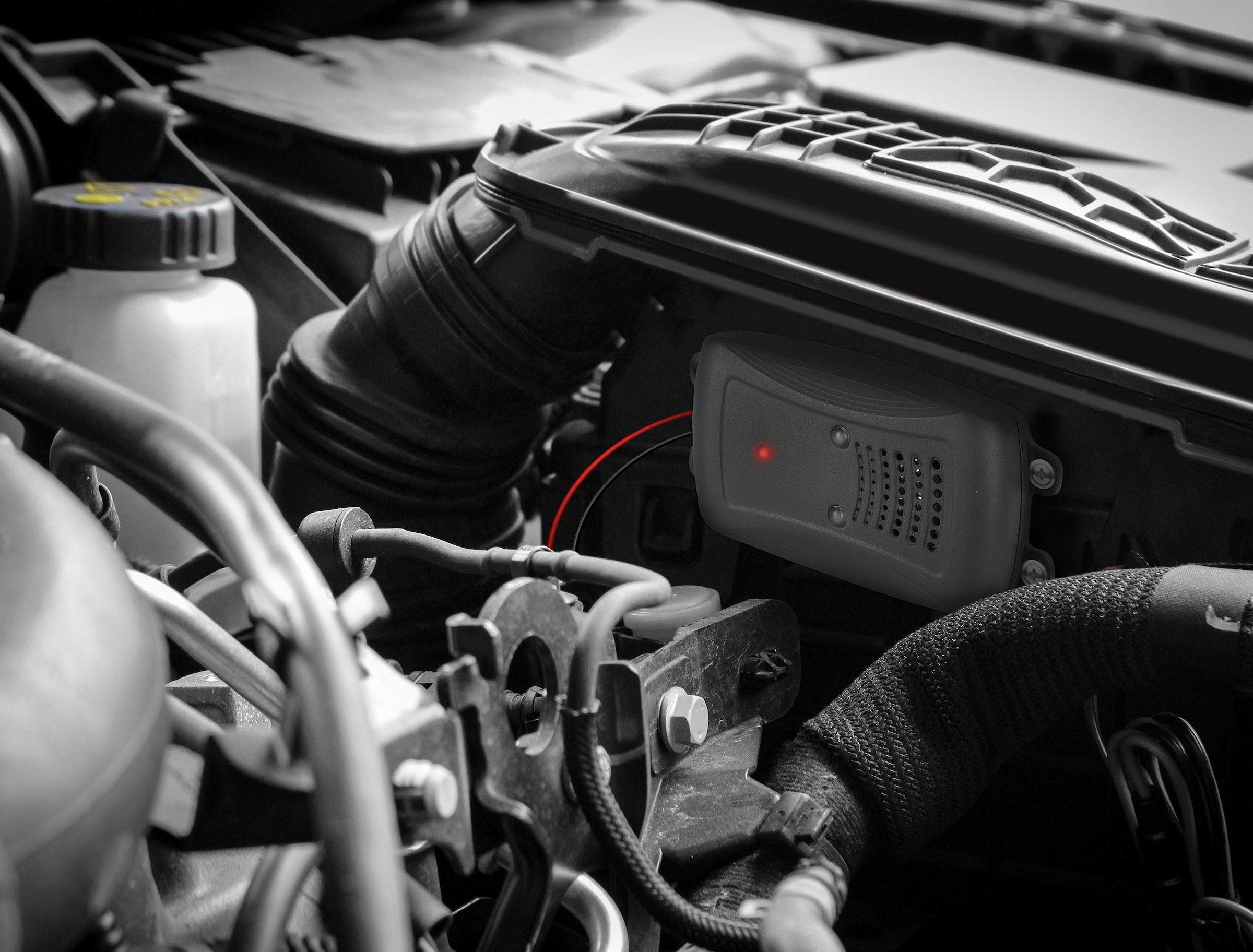 EUFAB Ultraschall-Tierabwehr mit LED, gegen Marder, für PKW und Wohnmobil