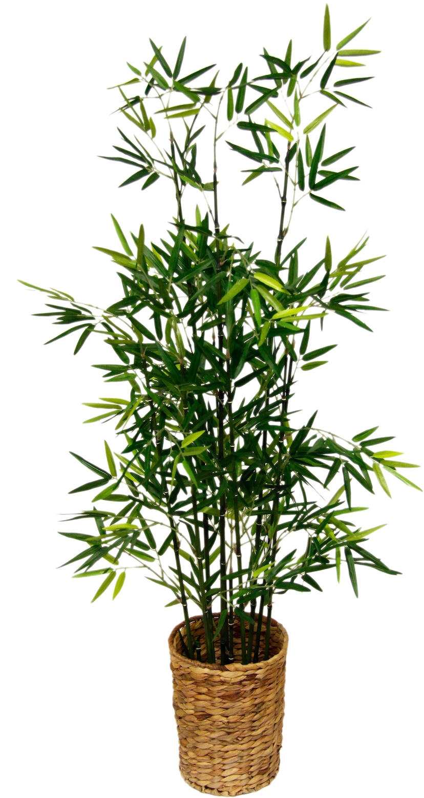 I.GE.A. Kunstpflanze »Bambus im Topf« online kaufen | mit 3 Jahren XXL  Garantie