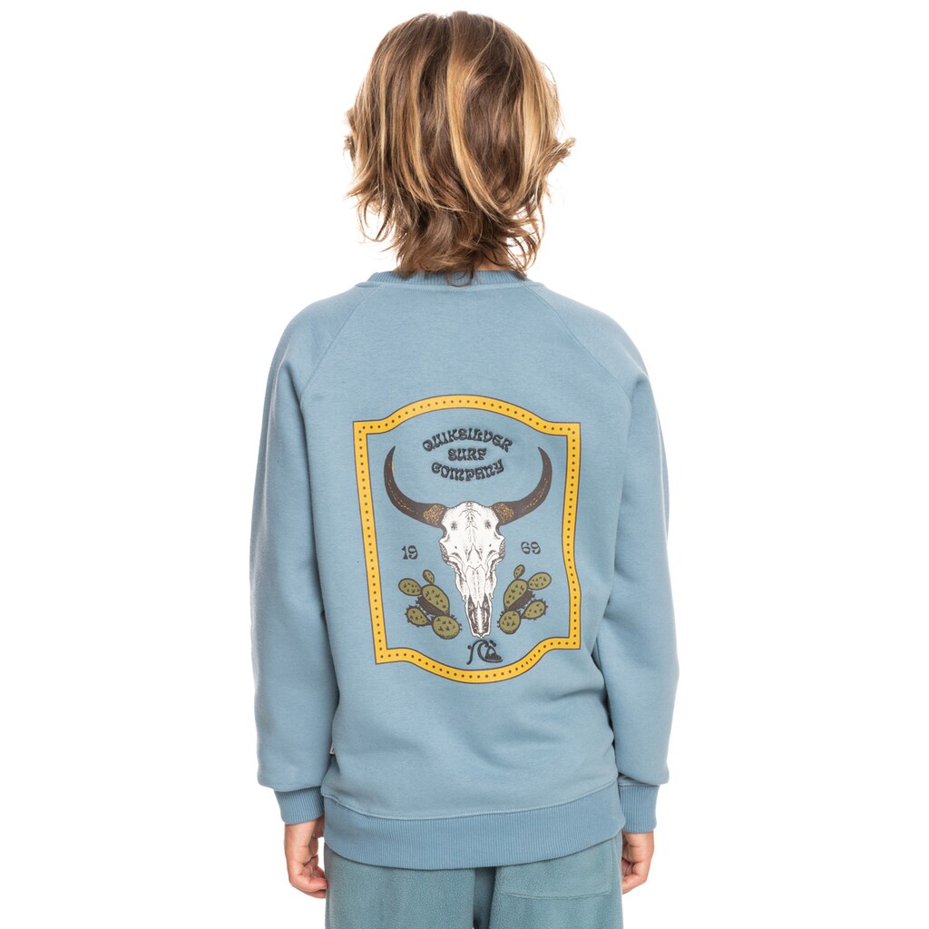 Quiksilver Sweatshirt »Wild Cars«