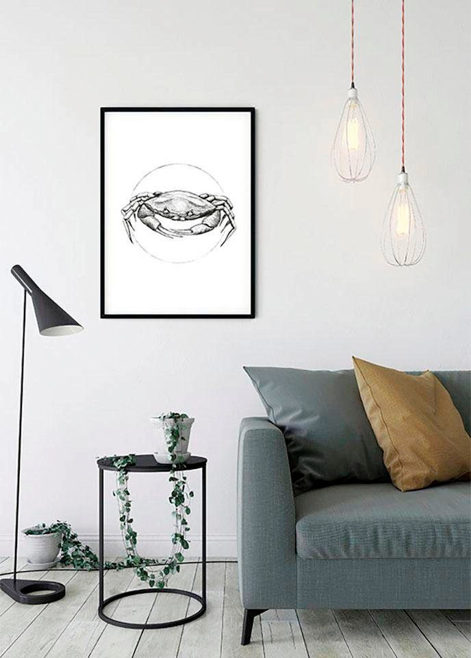 Komar Bild »Crab White« Tiere 1 Stk. tlg. Wandbild zur Dekoration - ohne Rahmen