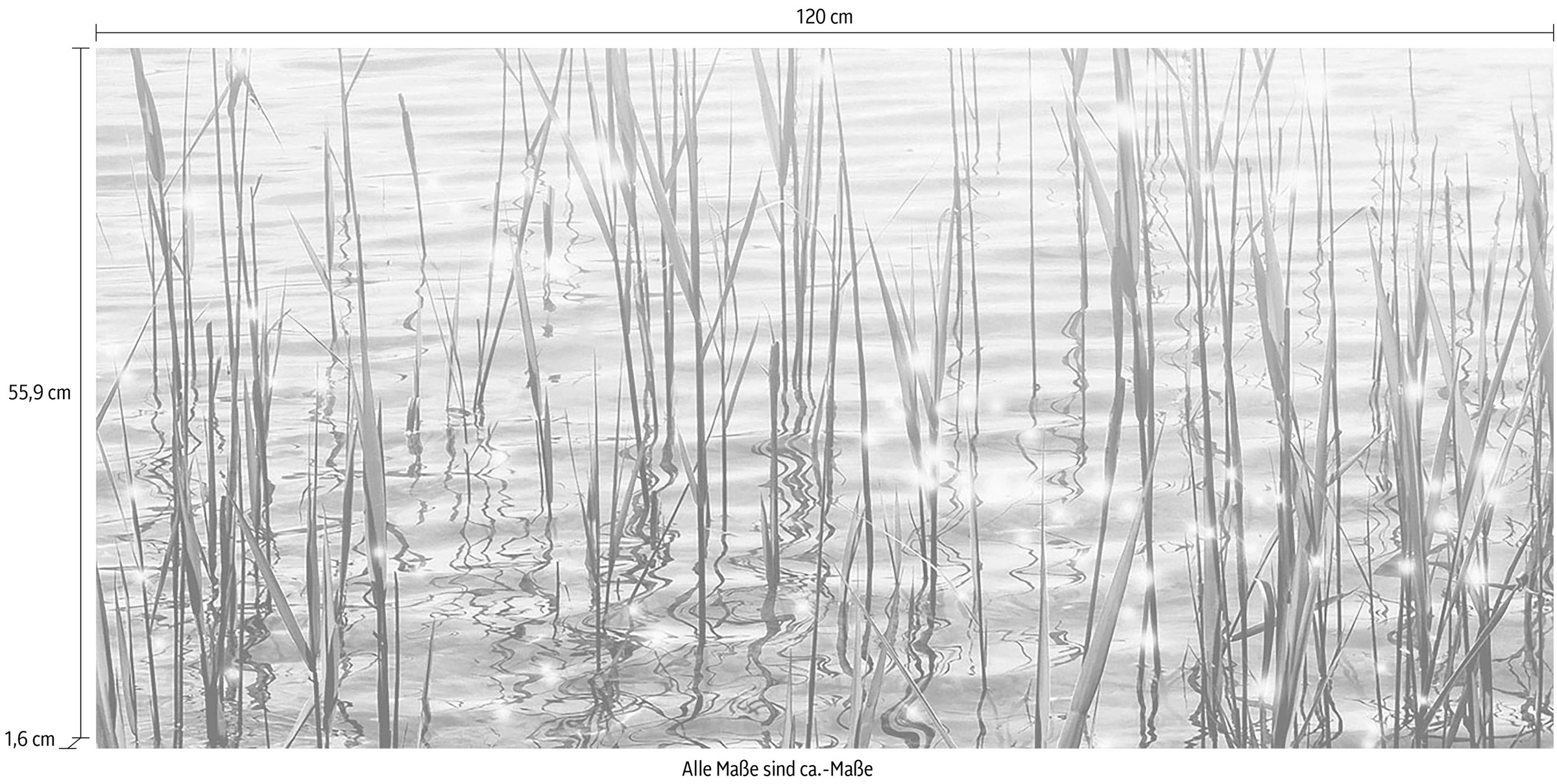 Express Küchen Küchenrückwand »Seegras«, (1 tlg.)
