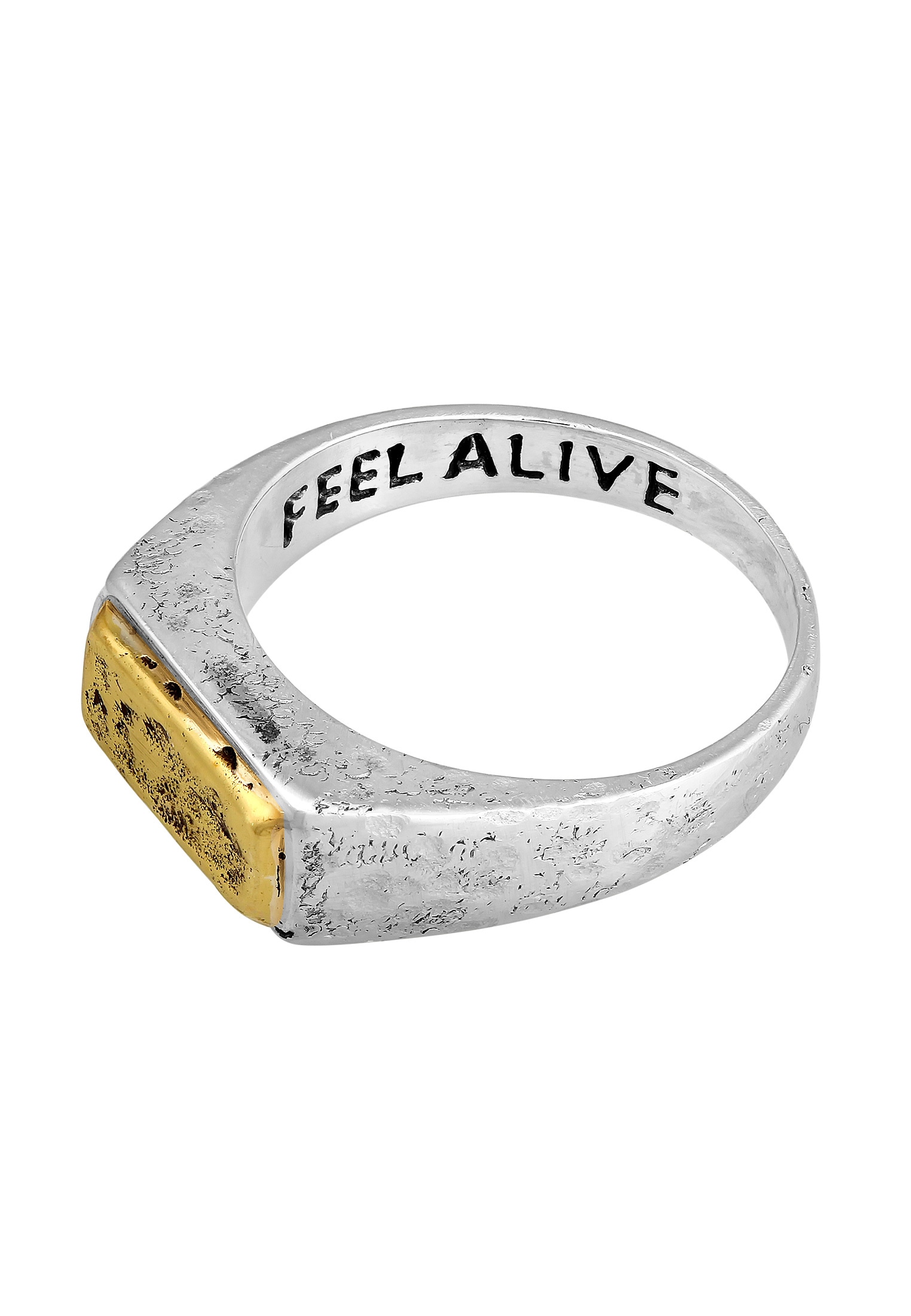 HAZE & GLORY Siegelring »Ring Siegelring - Alive Bi-Colour 925 Silber«