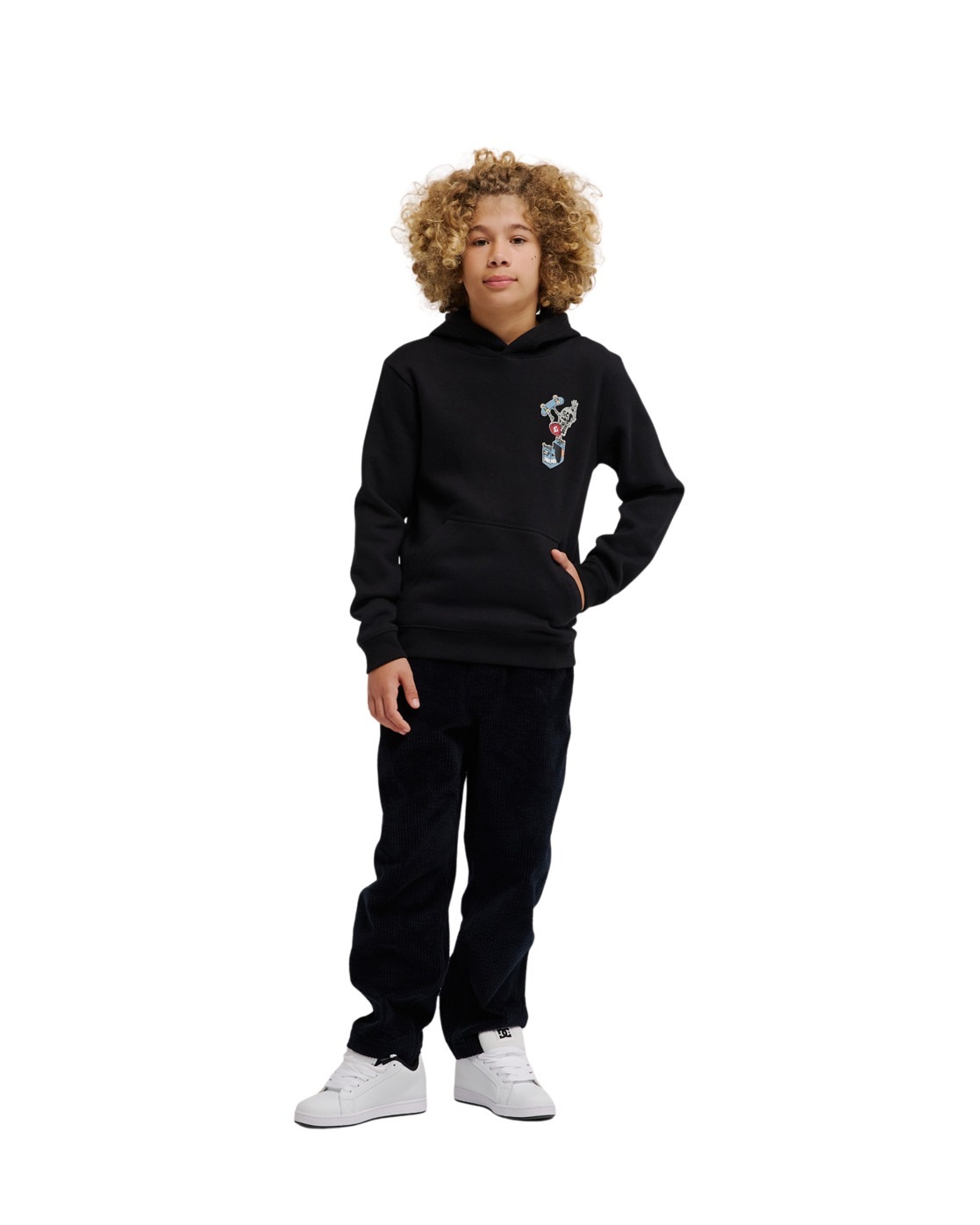 DC Shoes Hoodie »Handplant«
