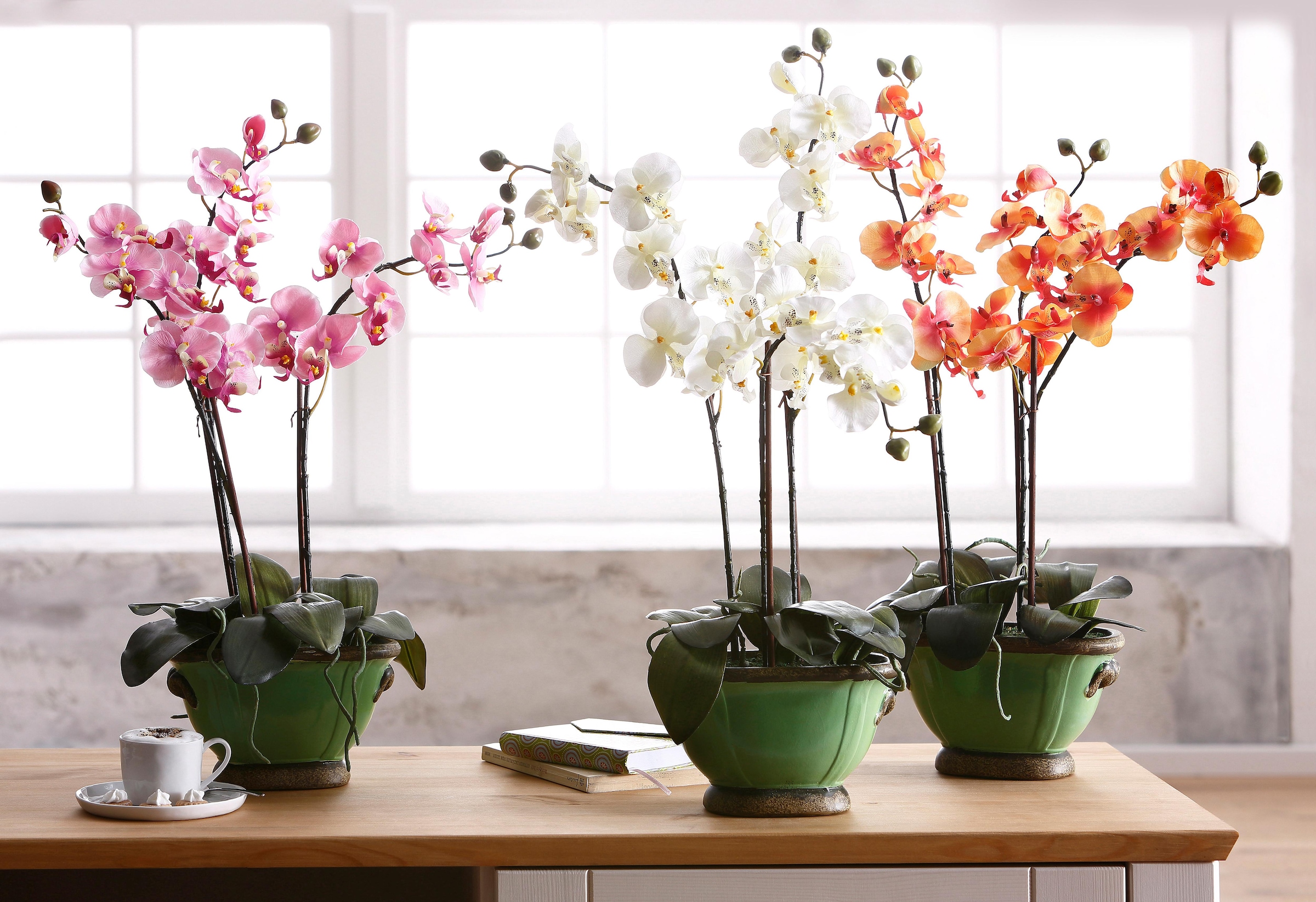 I.GE.A. Kunstpflanze »Orchidee« online kaufen | mit 3 Jahren XXL Garantie | Kunstorchideen