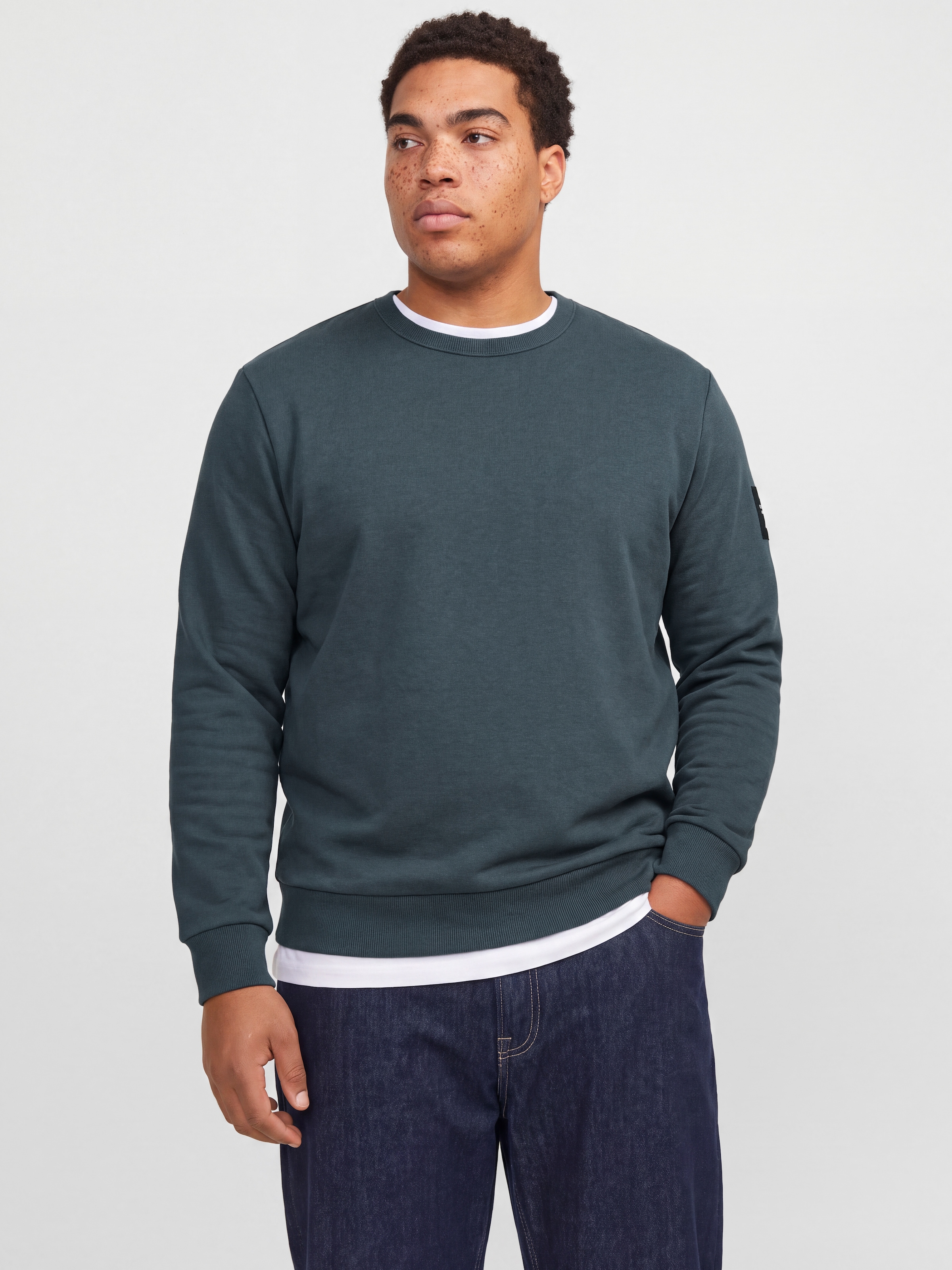 Jack & Jones PlusSize Sweatshirt »JJCLEVELAND SWEAT CREW NECK PLS«, Materialmix, regular fit

