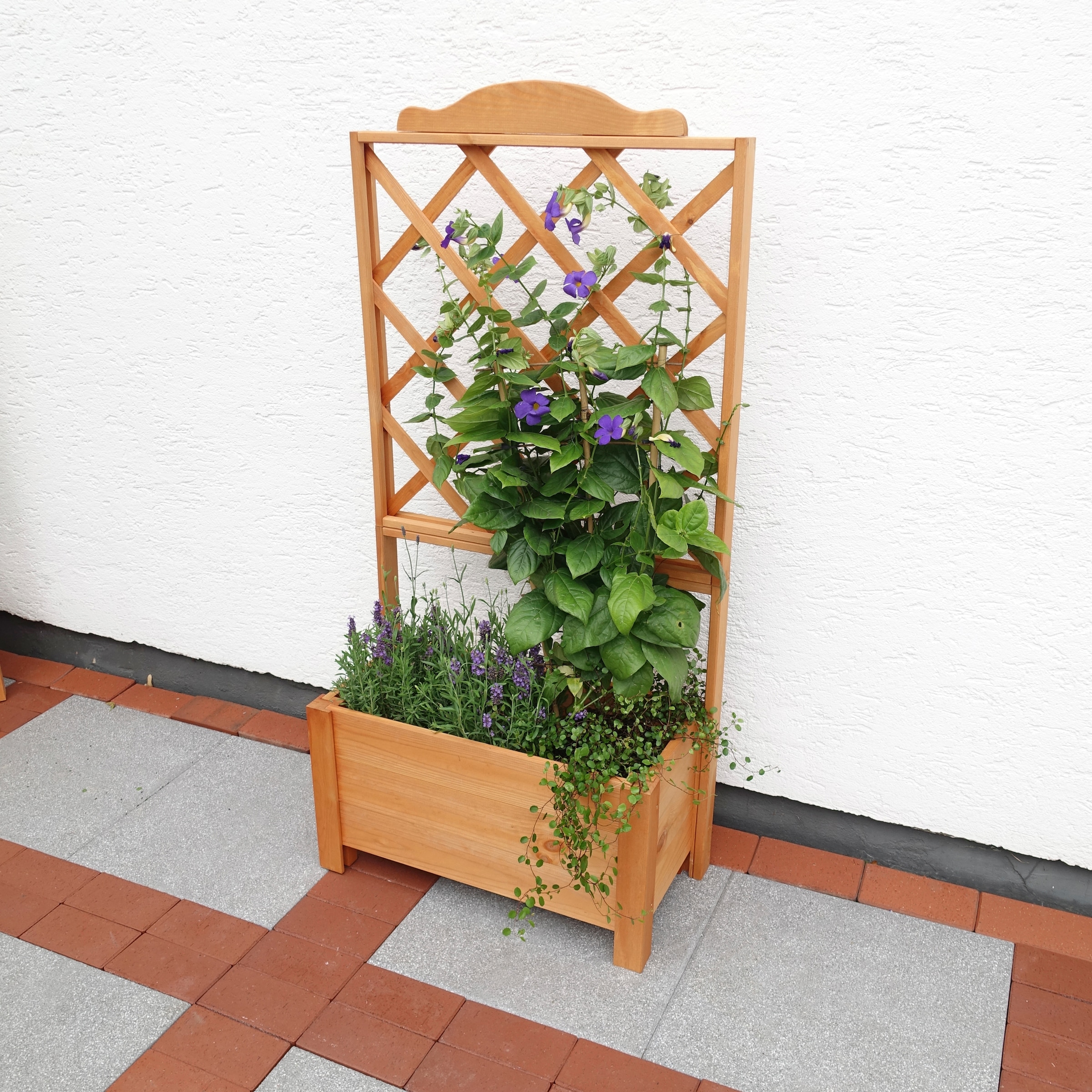 promadino Spalier mit Pflanzkasten, BxTxH: 69x32x140 cm