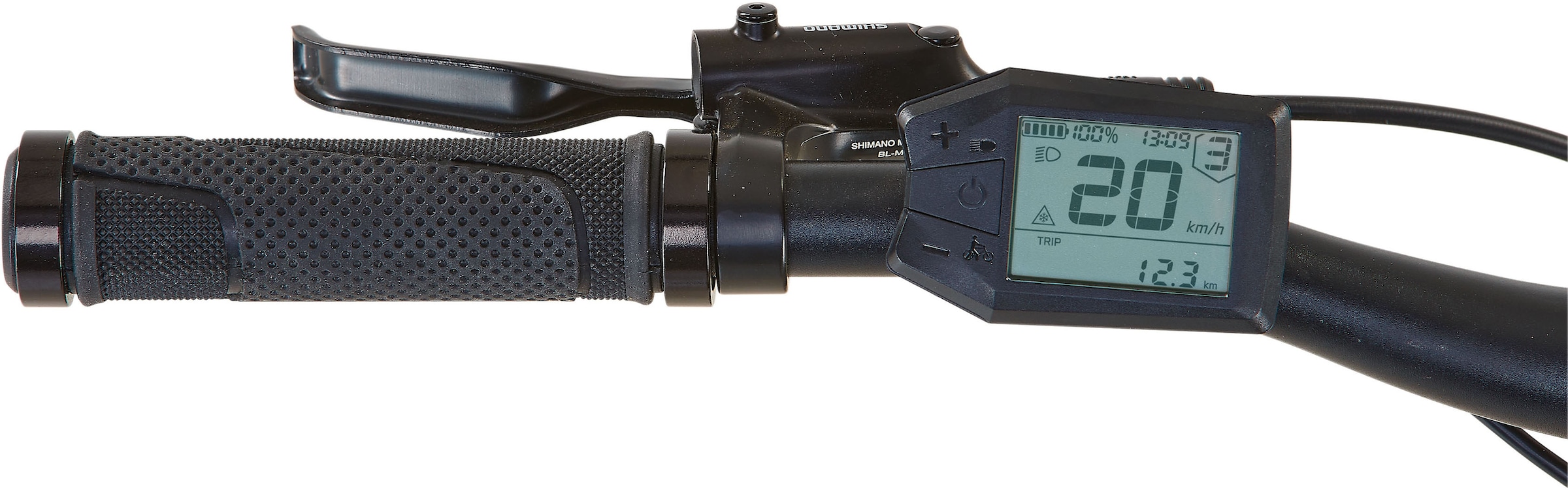 Prophete »Stack 2.0« 9 Gang Shimano Alivio Schaltwerk Kettenschaltung Heckmotor 250 W Pedelec, Elektrofahrrad für Herren