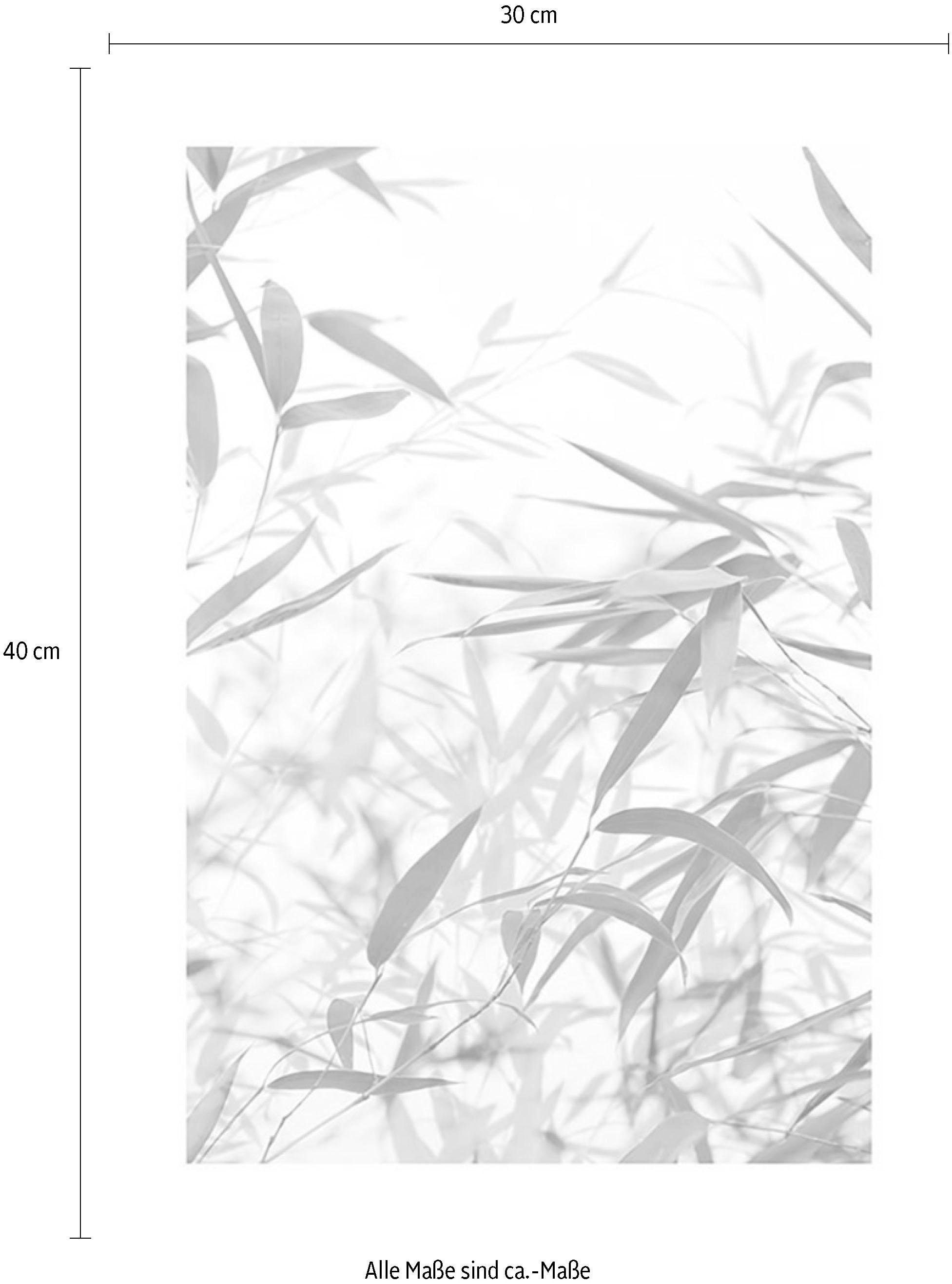 Komar Bild »Bamboo Leaves« Blätter | Pflanzen 1 Stk. tlg. Wandbild zur Dekoration - ohne Rahmen