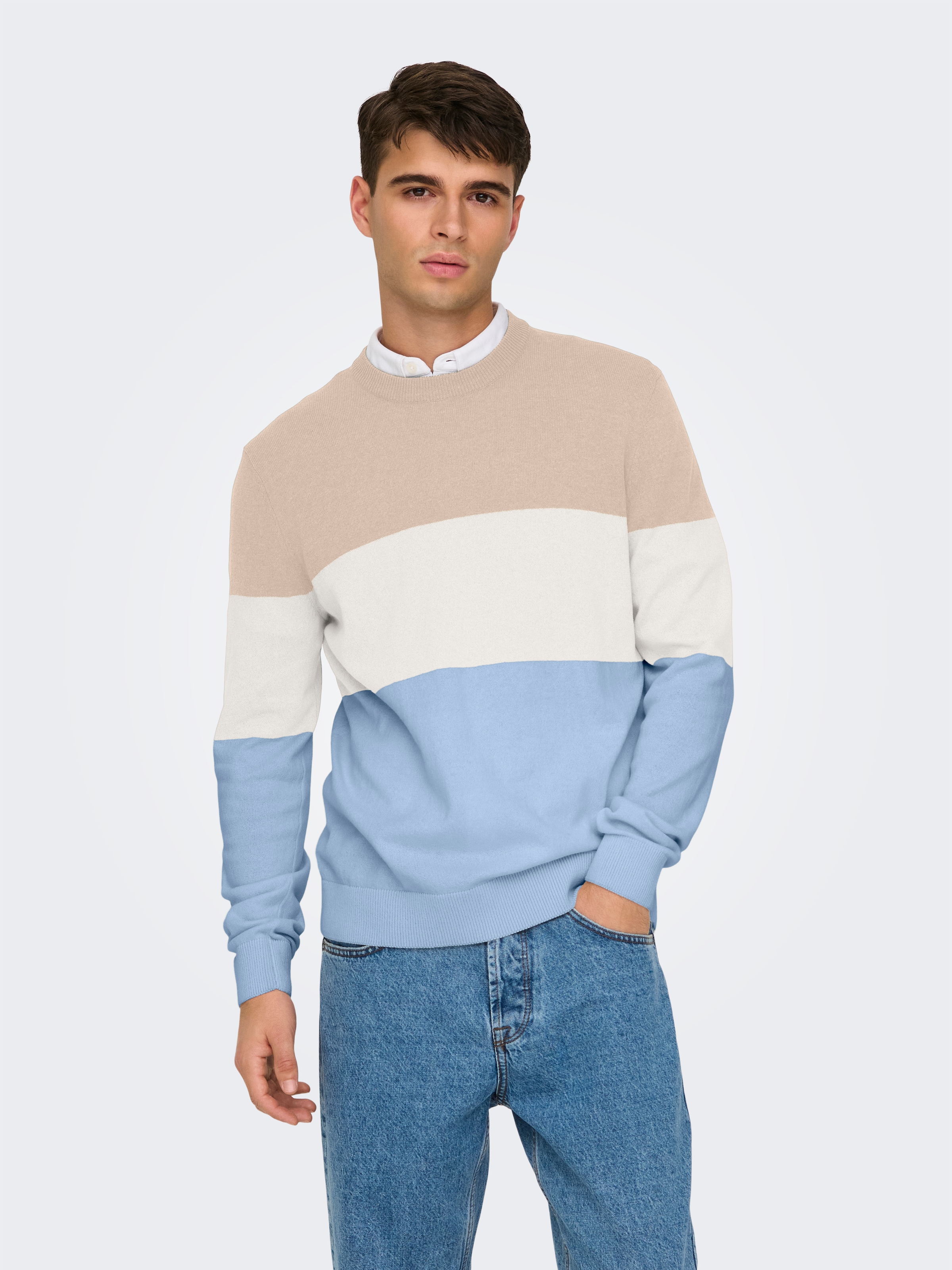 ONLY & SONS Rundhalspullover »ONSREX LIFE REG 12 CREW KNIT«