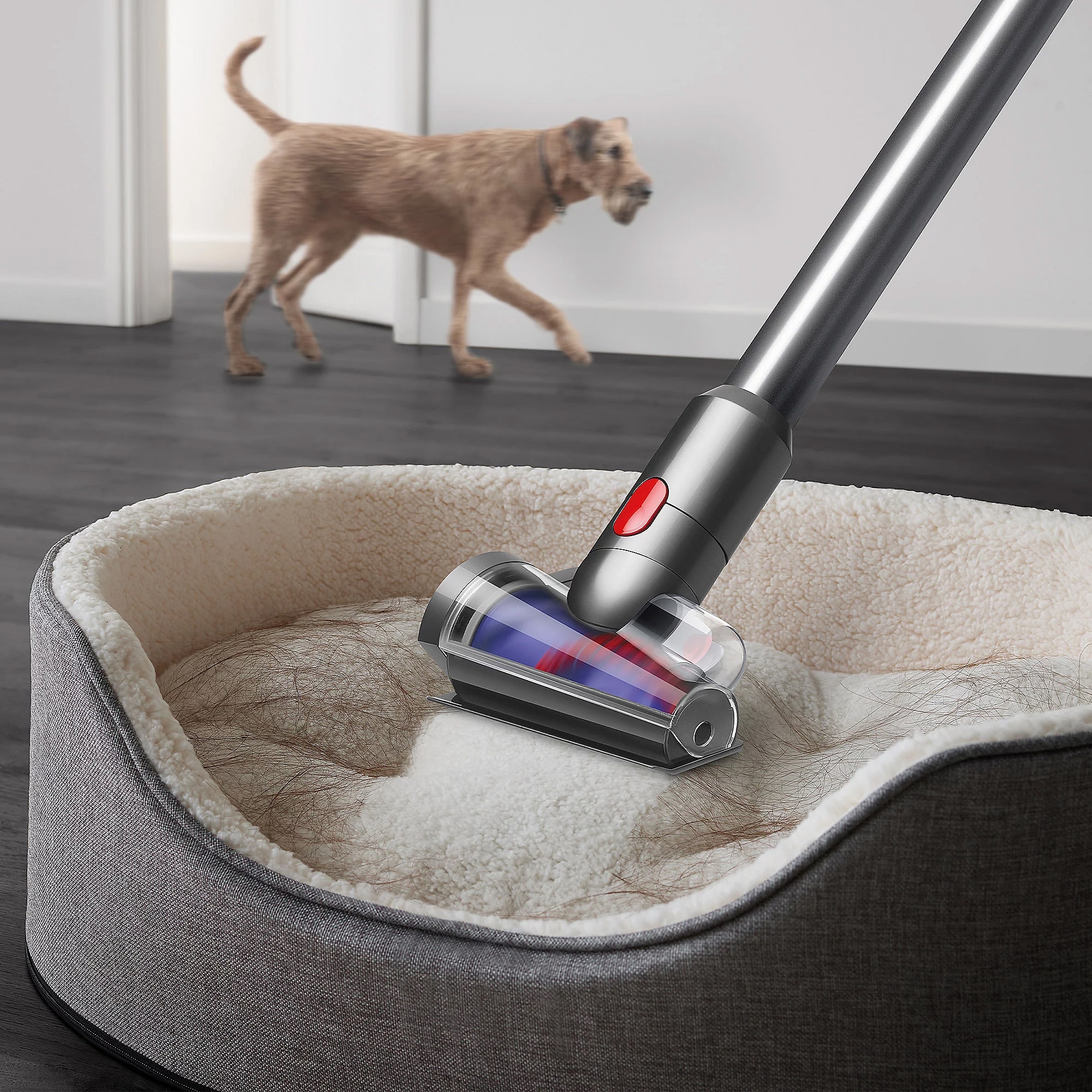 DYSON Akku-Hand-und Stielstaubsauger »V15 Detect Fluffy (Blau/Nickel)«