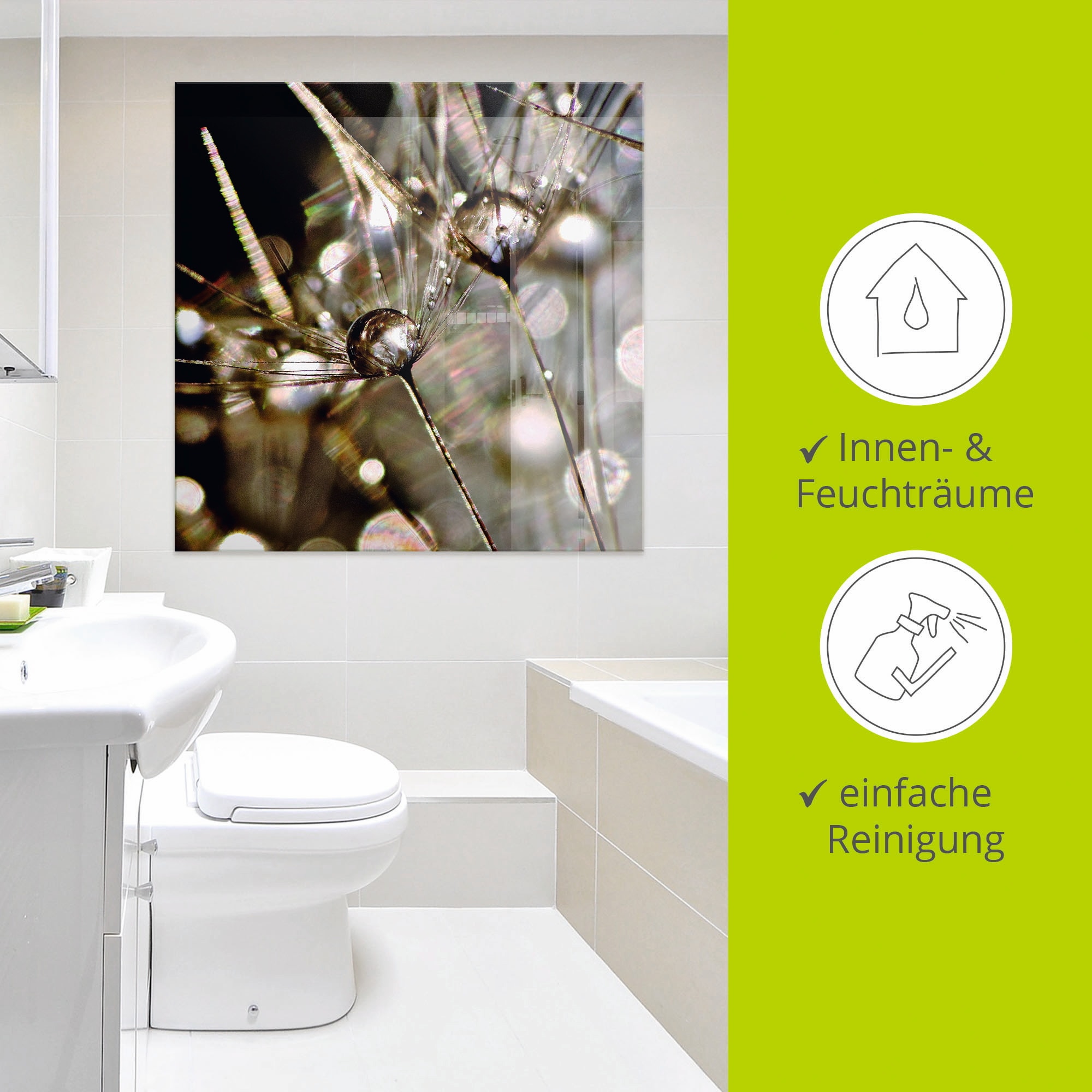 Artland Glasbild »Pusteblume mit Wasserperlen« Blumen 1 Stk. tlg. in verschiedenen Größen