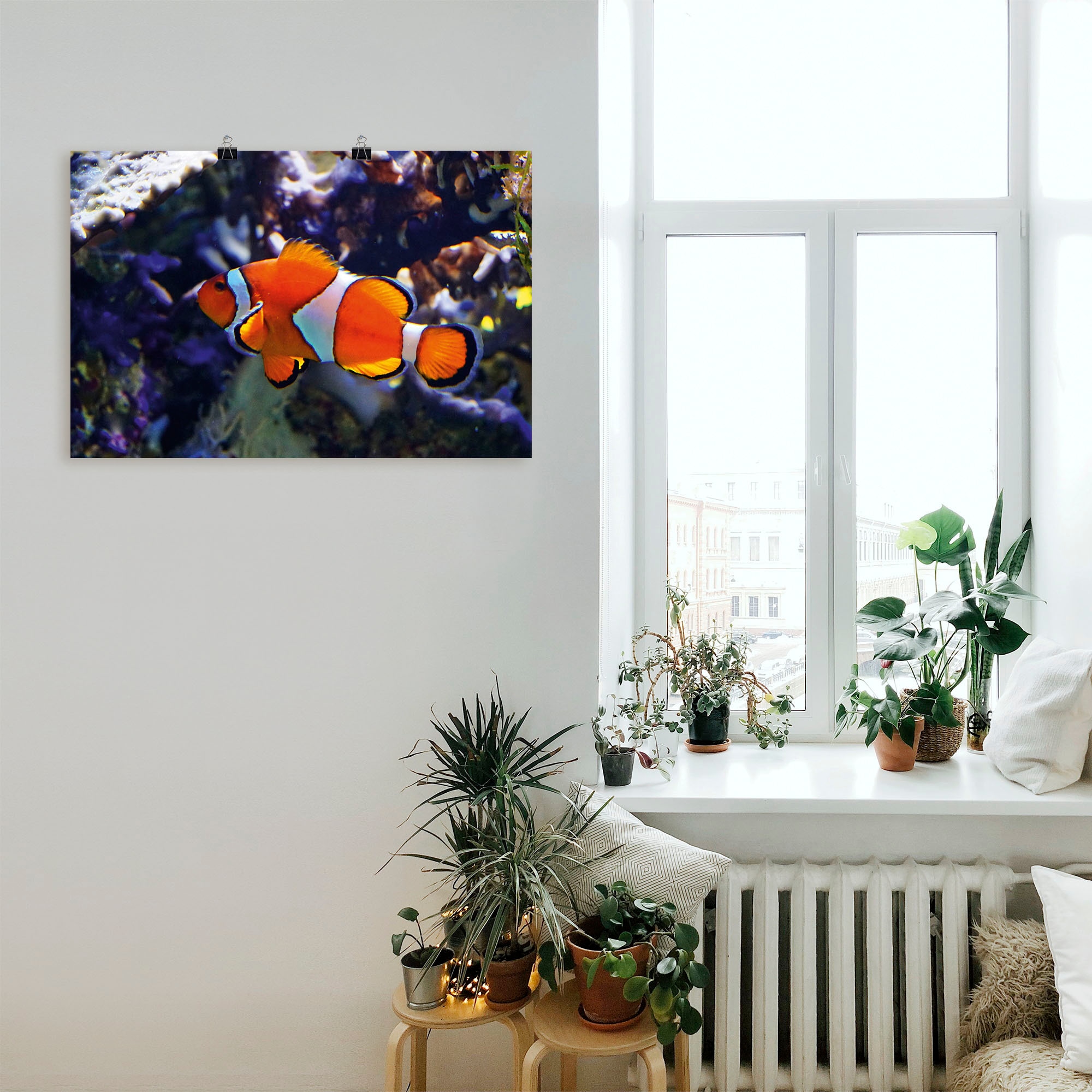 Artland Wandbild »Clownfisch«, Wassertiere, (1 St.), als Alubild, Leinwandbild, Wandaufkleber oder Poster in versch. Größen