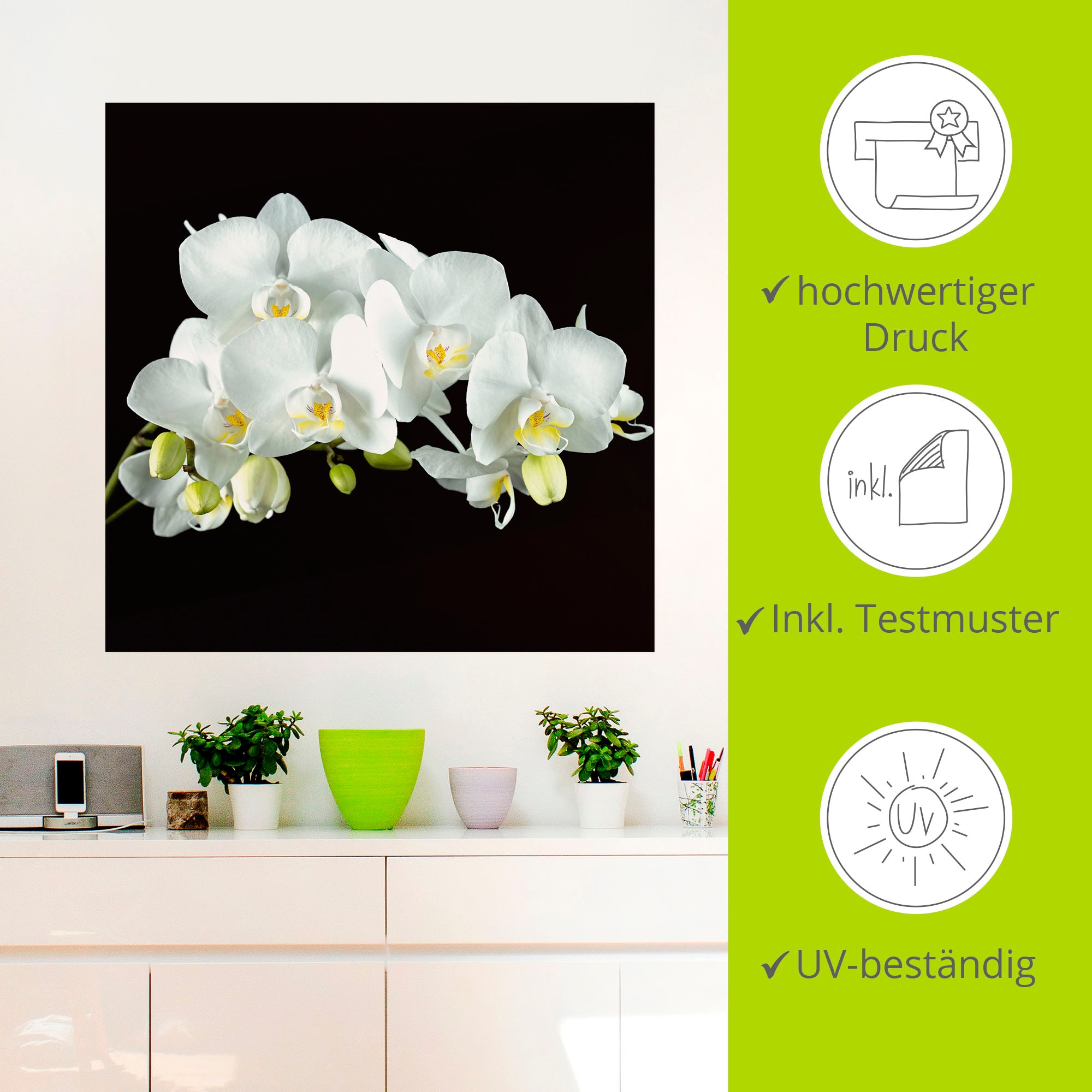Artland Wandbild »Weiße Orchidee auf schwarzem Hintergrund«, Blumen, (1 St.), als Leinwandbild, Poster, Wandaufkleber in verschied. Größen