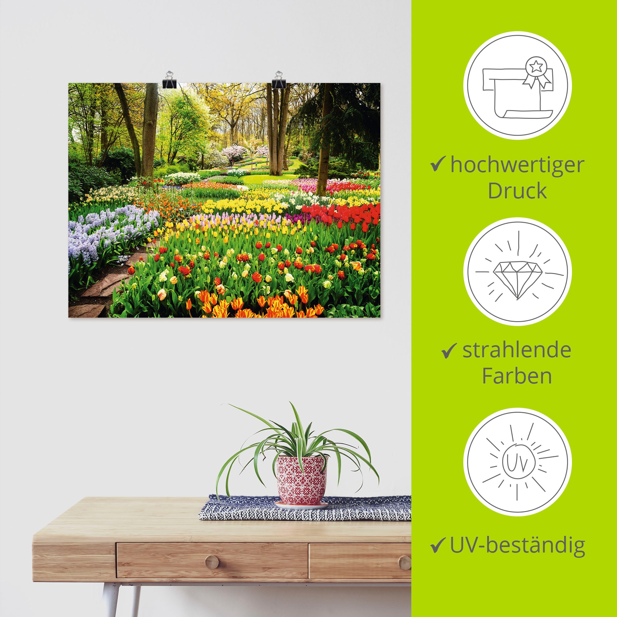 Artland Wandbild »Tulpen Garten Frühling«, Blumenwiese, (1 St.), als Alubild, Outdoorbild, Leinwandbild, Poster, Wandaufkleber
