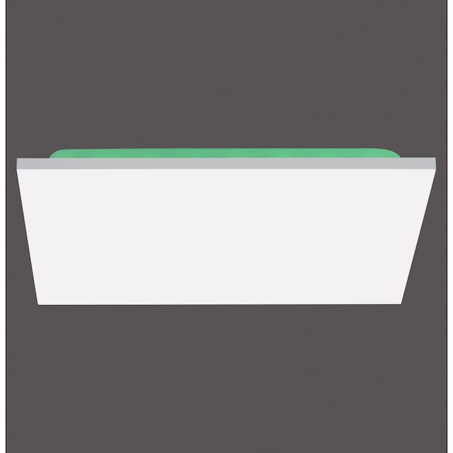 my home LED Deckenleuchte »Floki«, 2 flammig-flammig, rahmenlos, mit CCT  und RGB Backlight, dimmbar Deckenlampe online kaufen | mit 3 Jahren XXL  Garantie