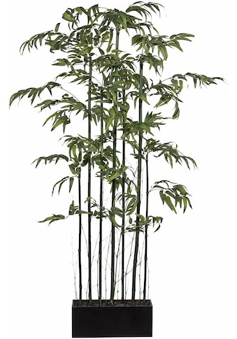 Creativ green Kunstbambus »Bambus Raumteiler«, (1 St.) kaufen