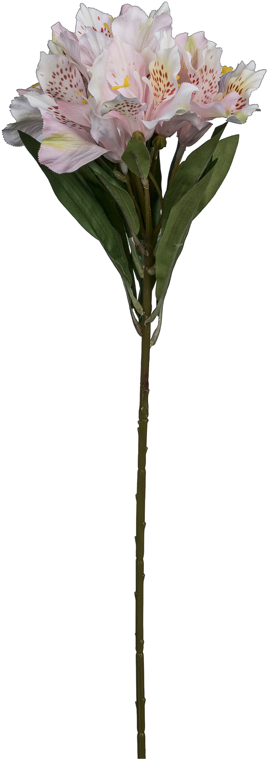 Creativ green Kunstblume »Alstromeria« mit traumhaft schönen Blüten