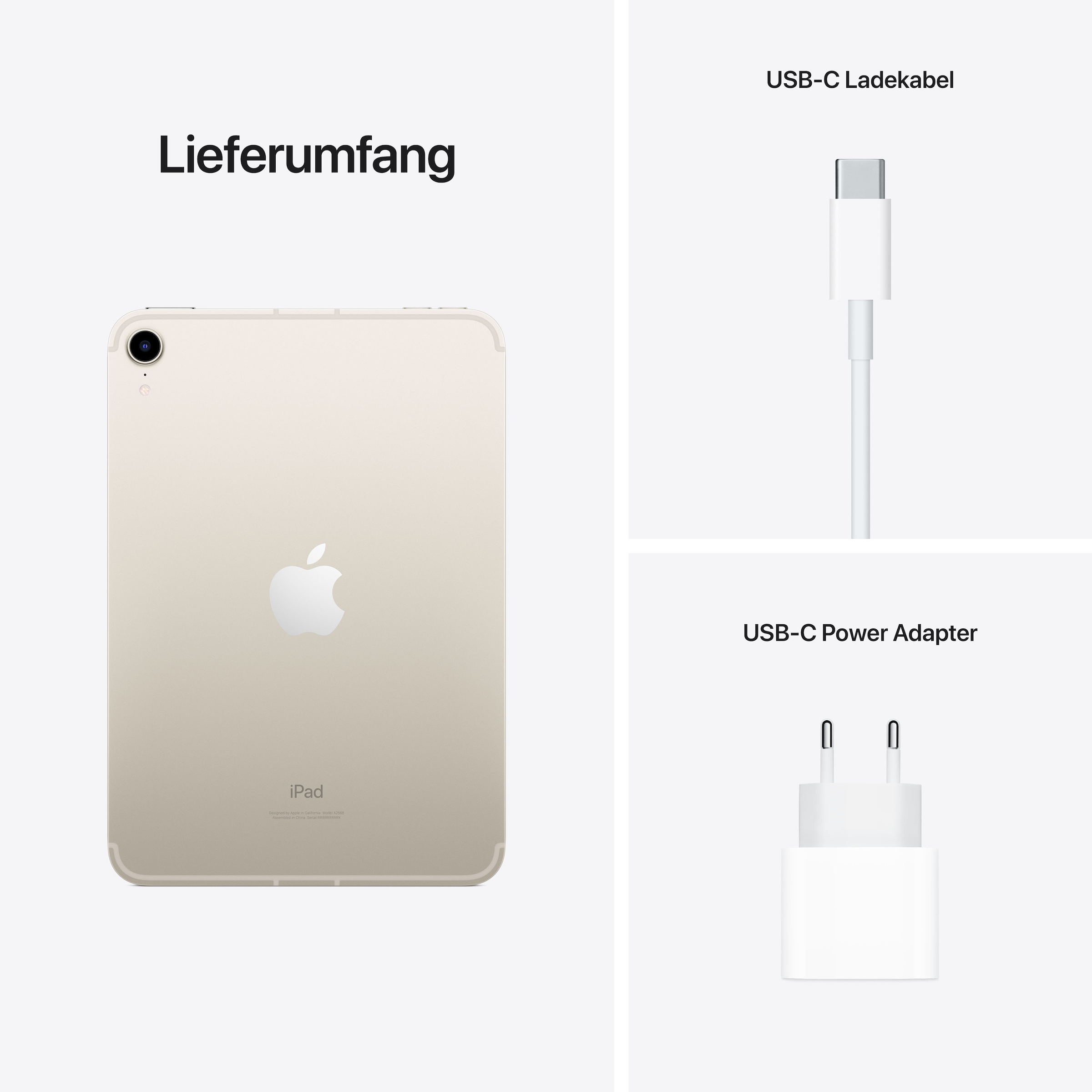 Apple Tablet »iPad mini Wi-Fi + Cellular (2021)«, (iPadOS)