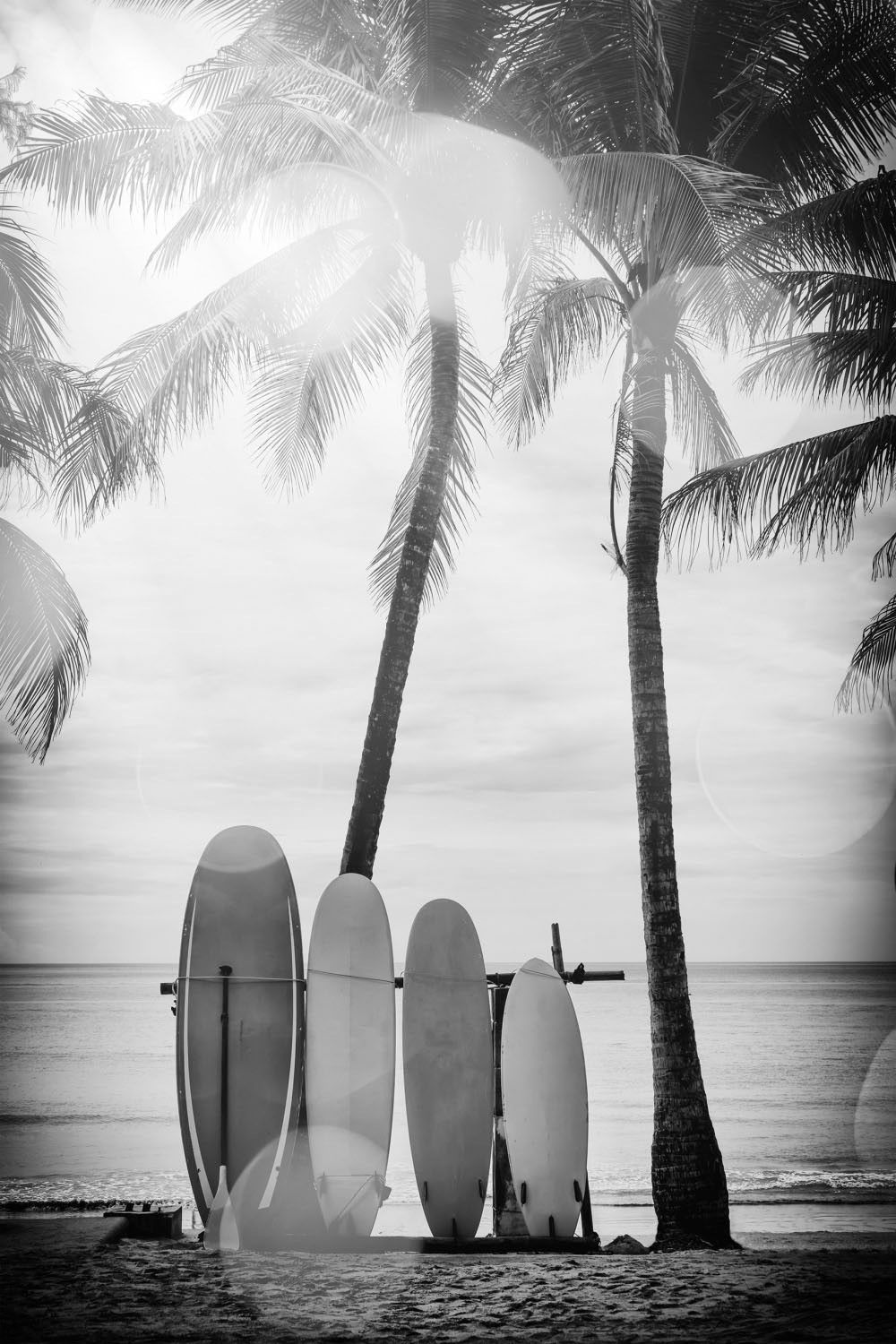 queence Acrylglasbild »Surfboards«, Kunst-Schwarz-Weiß-Strand-Palmen-Strandbilder, Fine Art-Print in Galeriequalität