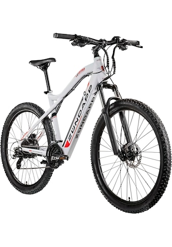 E-Bike »Z898«, 24 Gang, Heckmotor 250 W