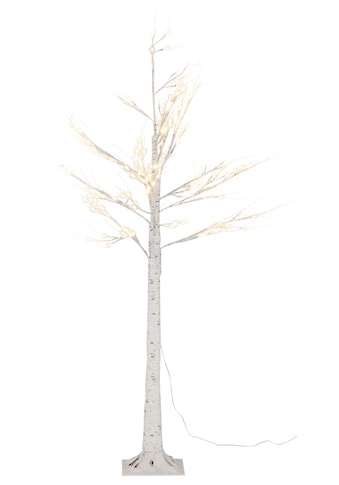 my home LED Baum »Birkenbaum«, Warmweiß, mit zahlreichen LEDs kaufen
