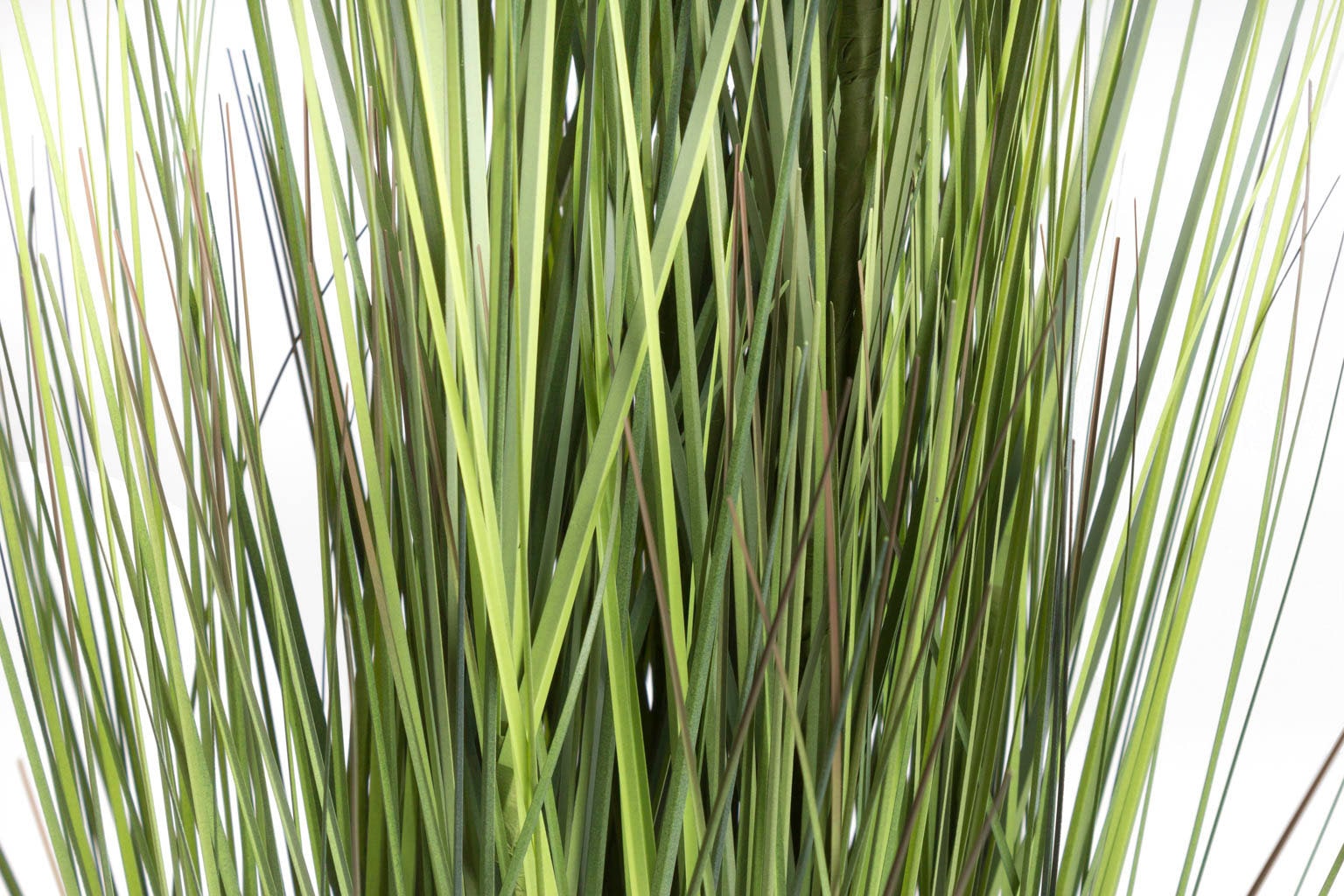 Botanic-Haus Kunstgras »Gras Festuca«